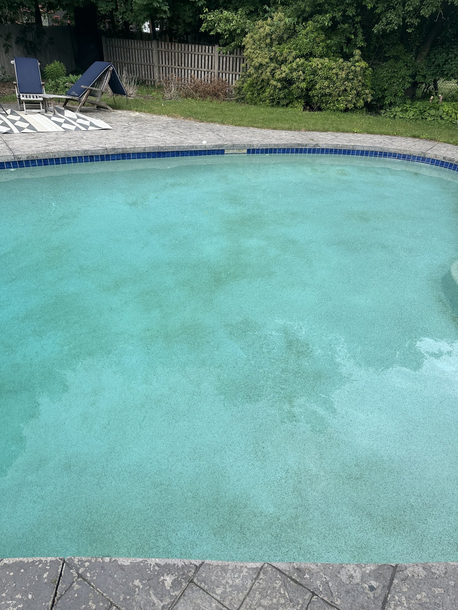 IMG_0932.jpeg