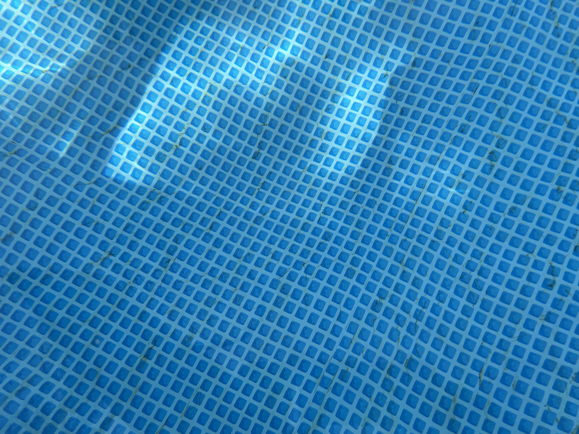 IMG_0979.jpeg