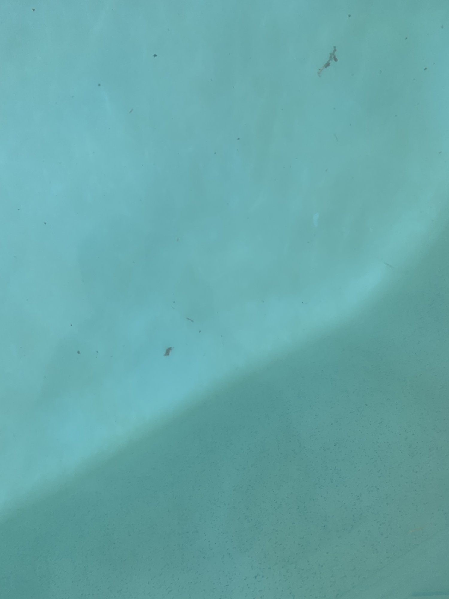 IMG_0983.jpeg