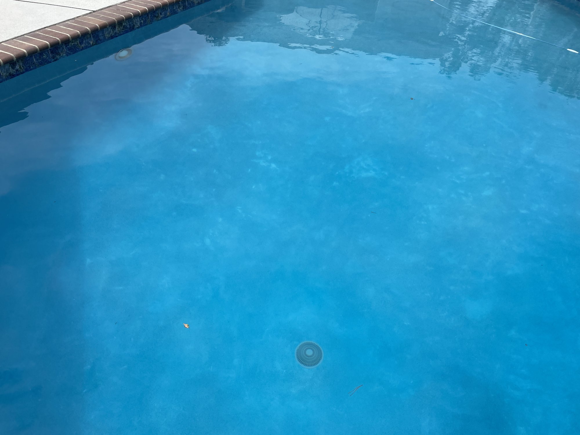 IMG_0996.jpeg