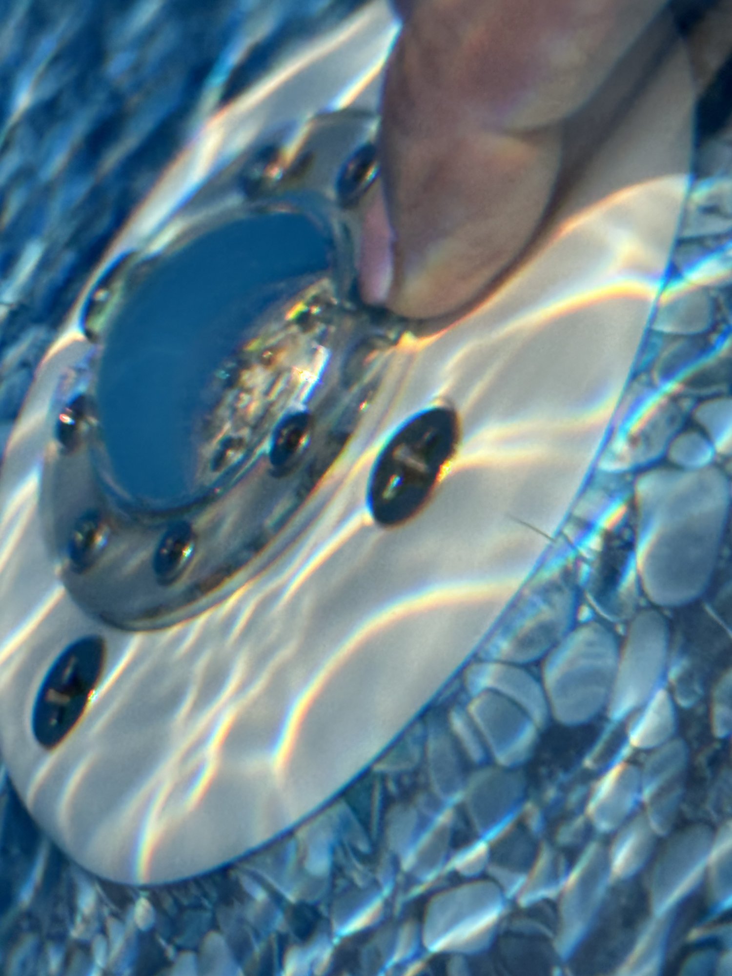 IMG_1042.jpeg