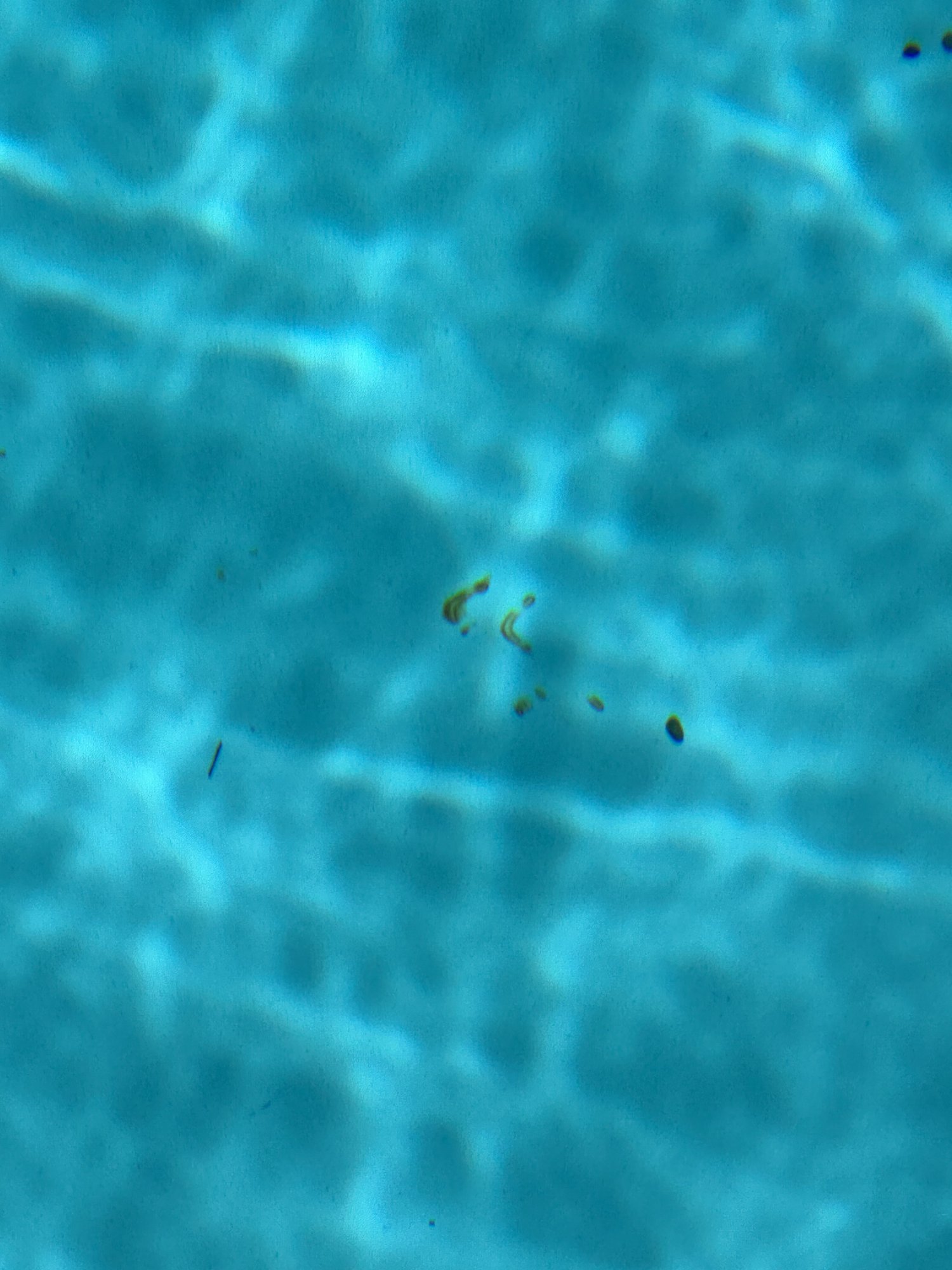 IMG_1345.jpeg