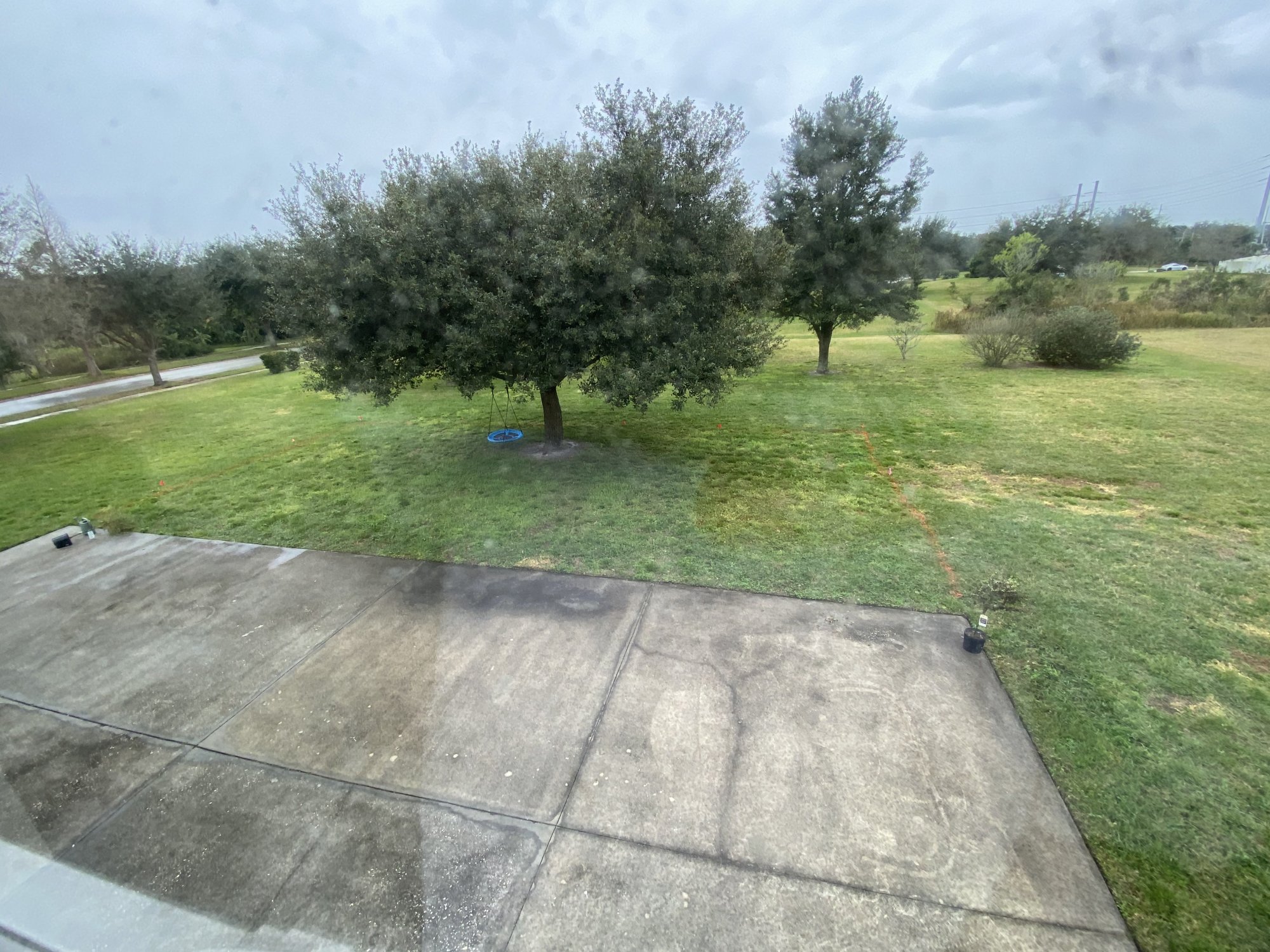 IMG_1355.jpeg