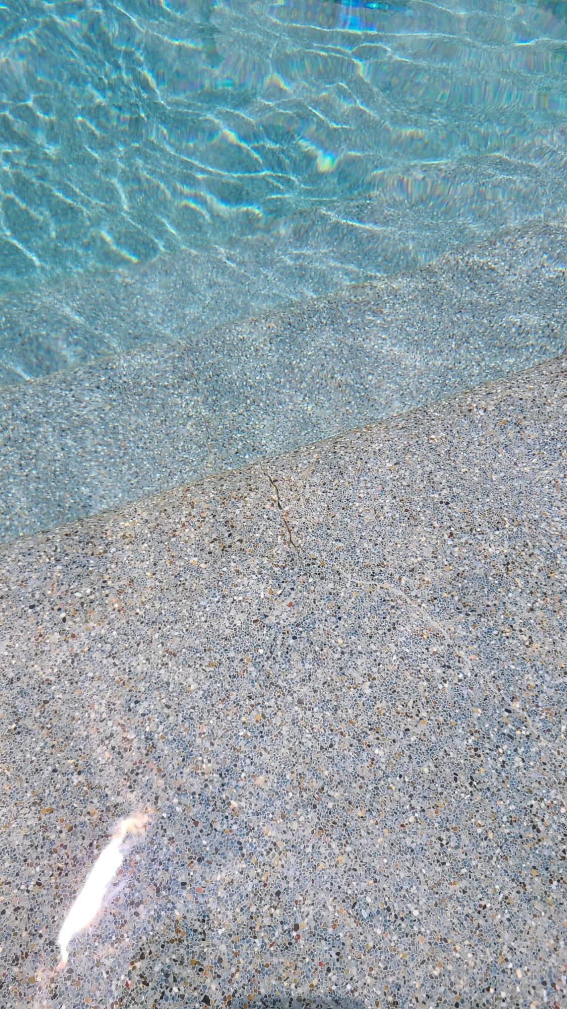 IMG_1496.jpeg
