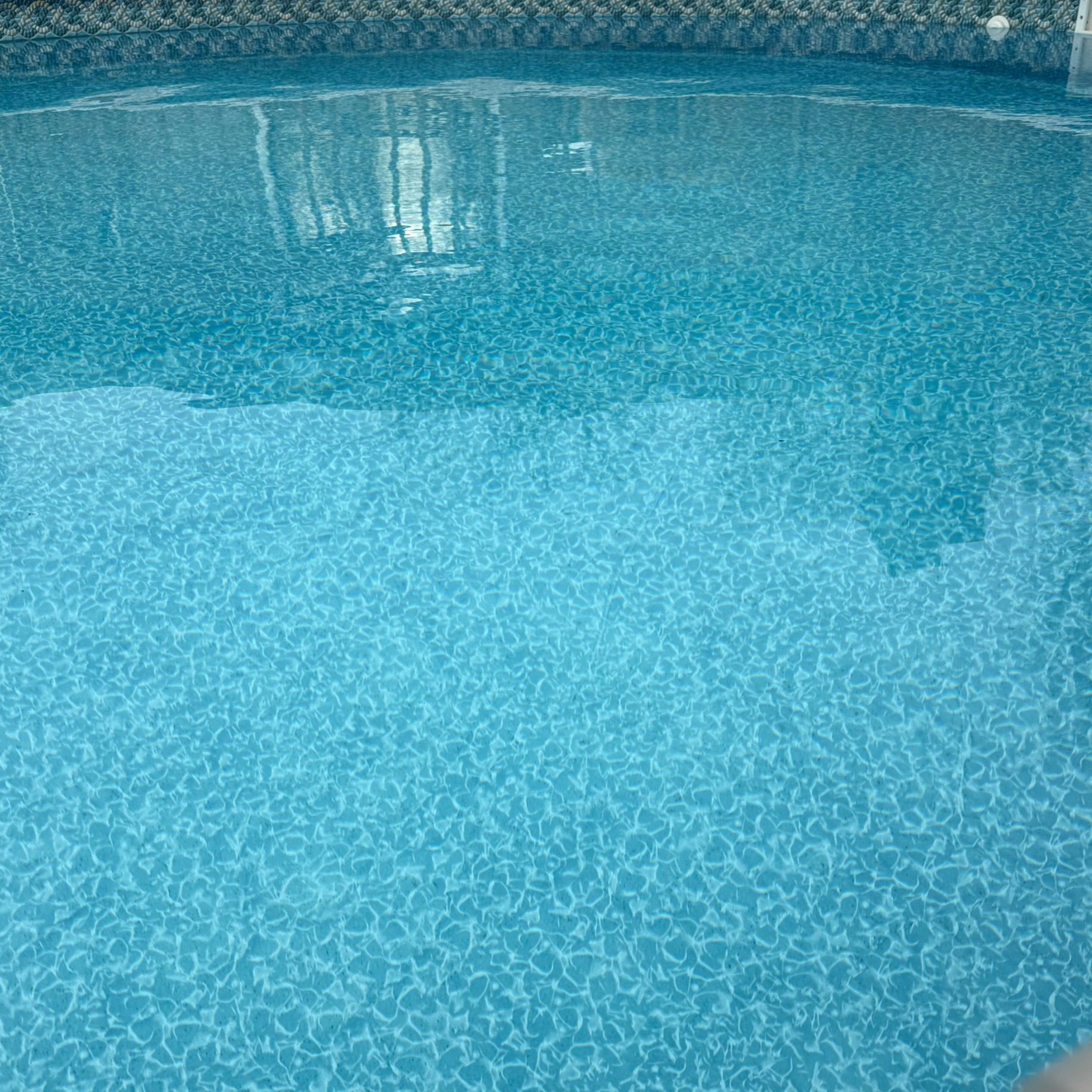 IMG_1571.jpeg