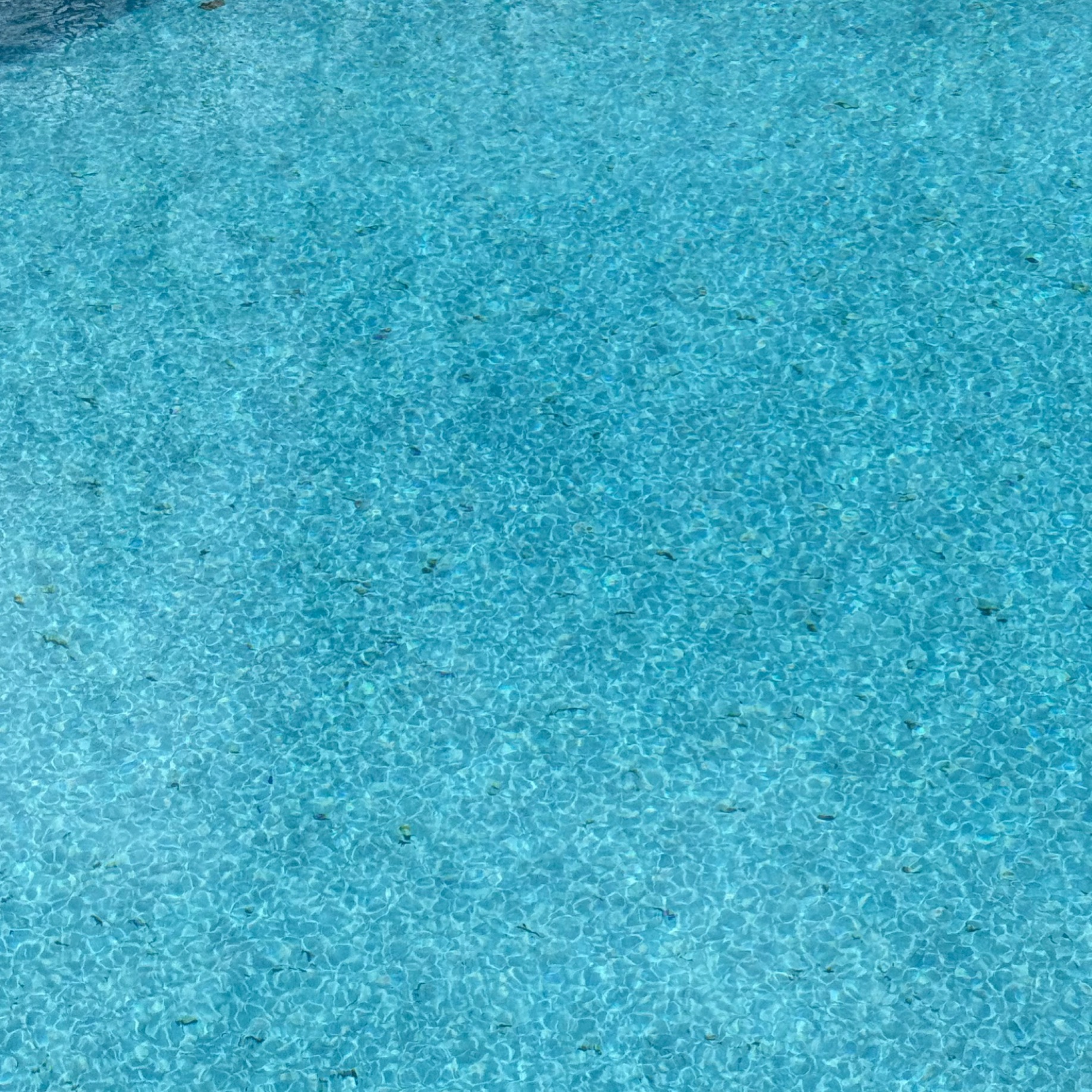 IMG_1583.jpeg