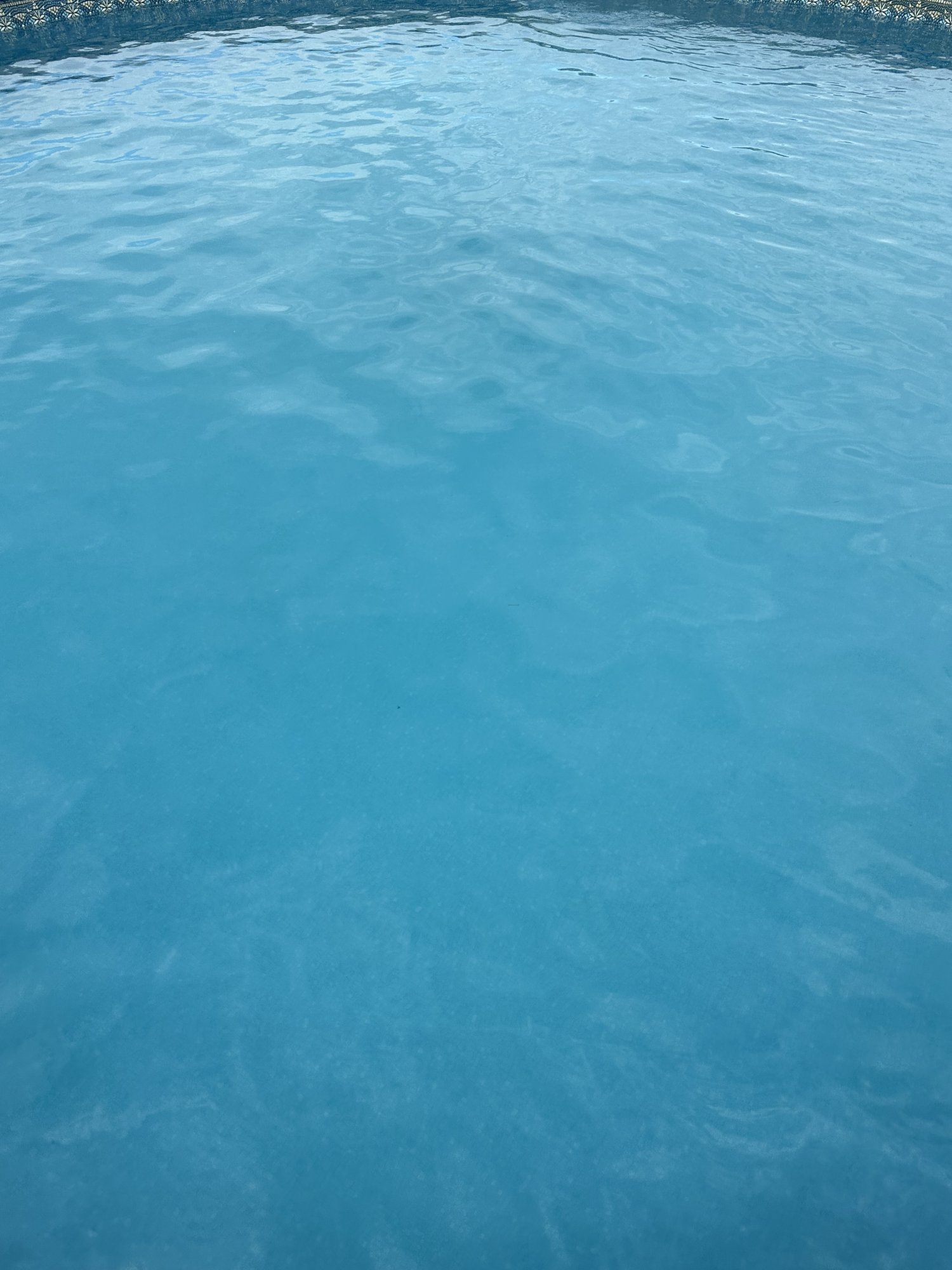 IMG_1624.jpeg