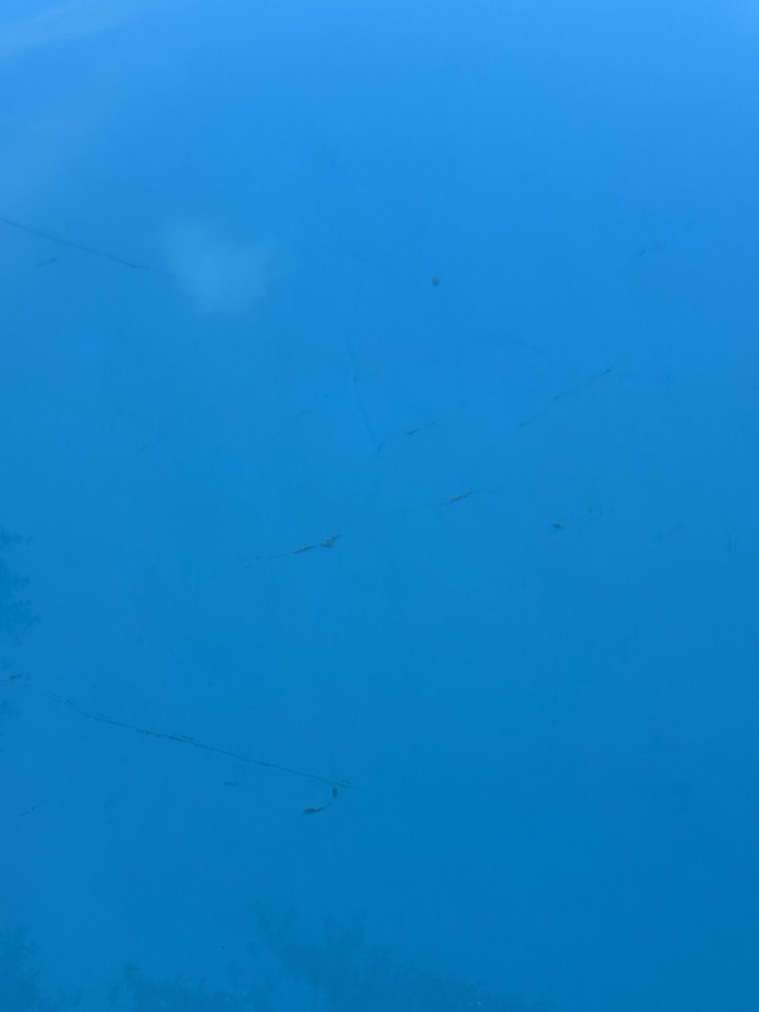 IMG_1801.jpeg