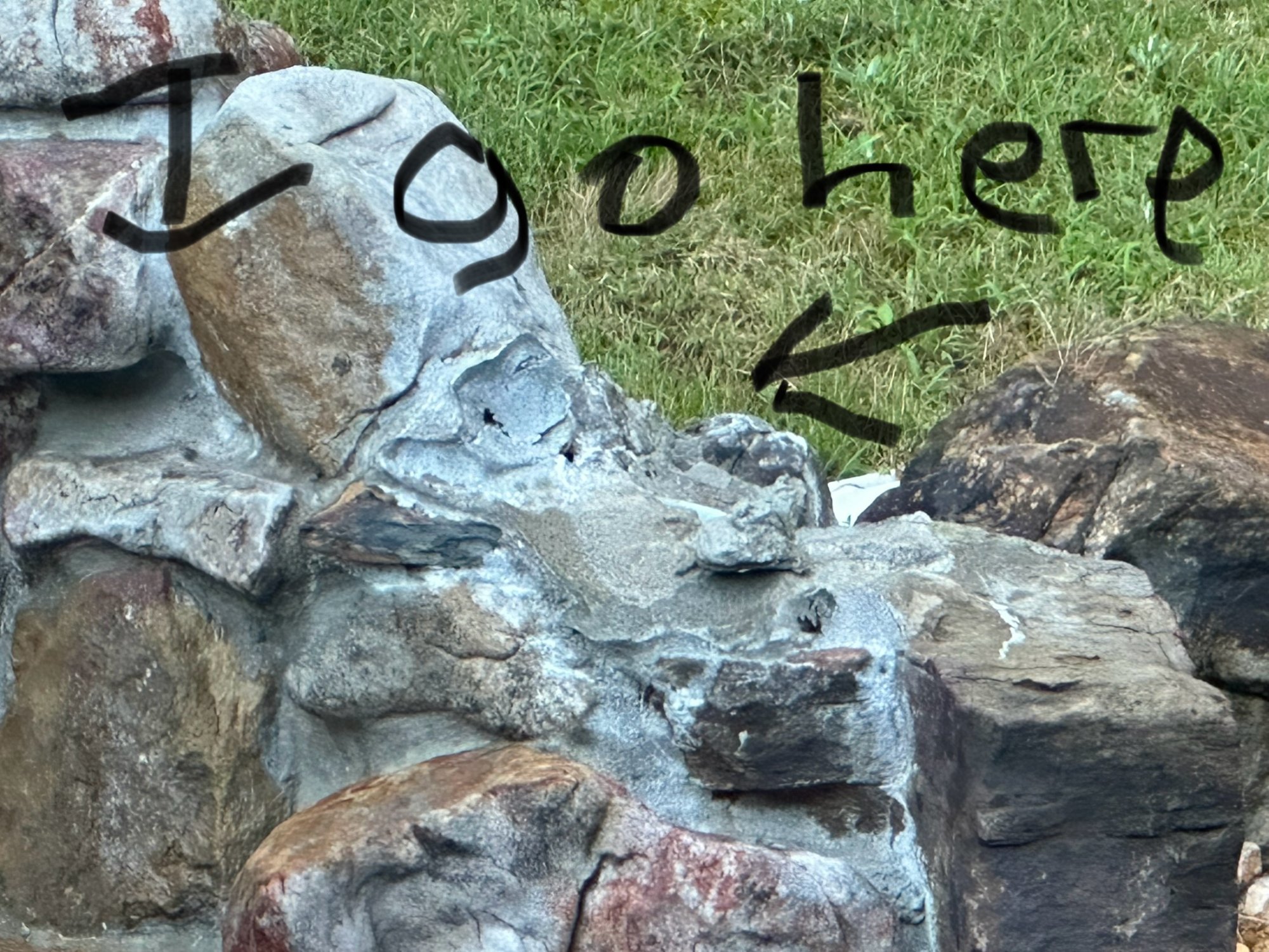 IMG_1816.jpeg