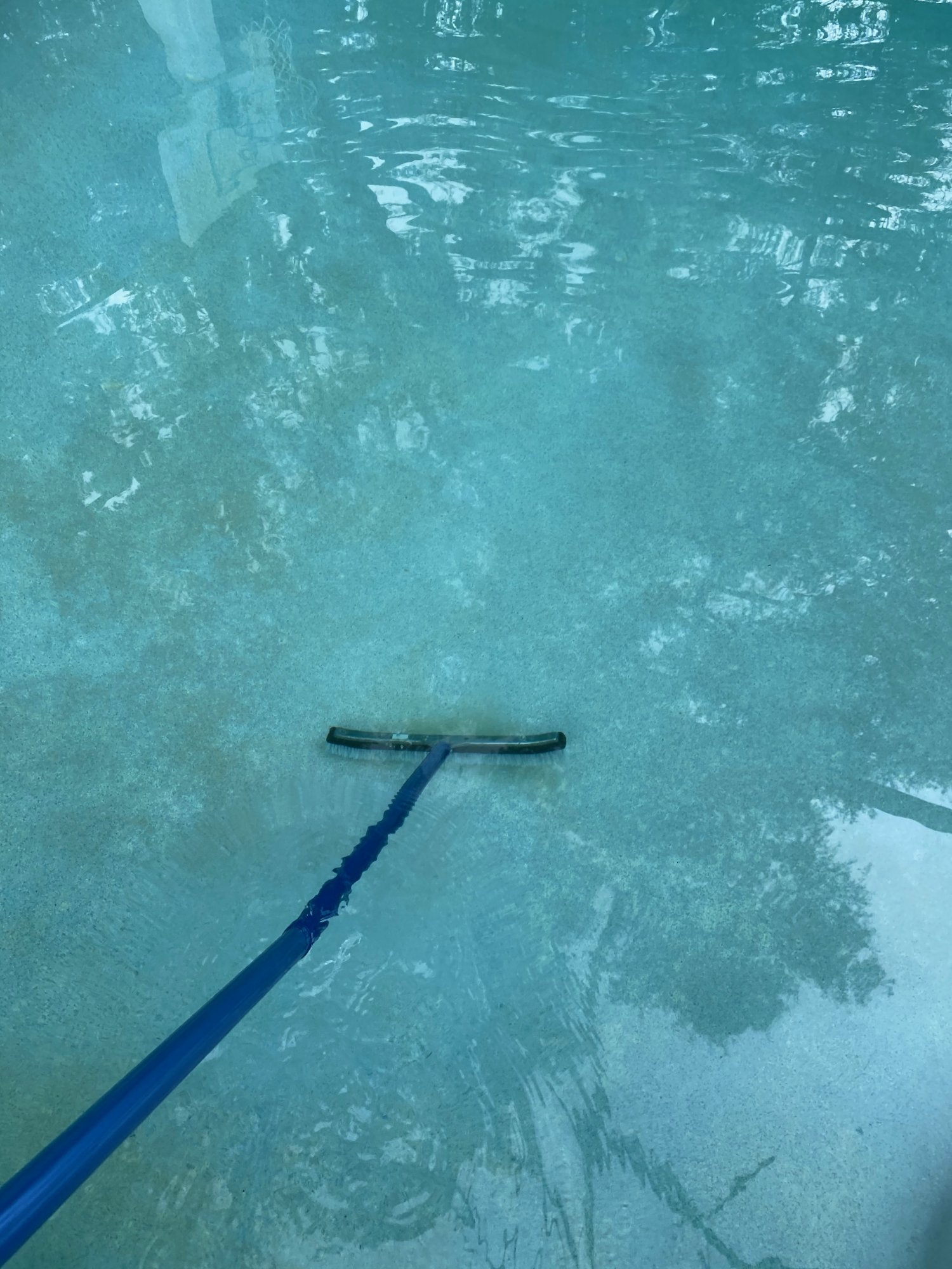 IMG_1897.jpeg