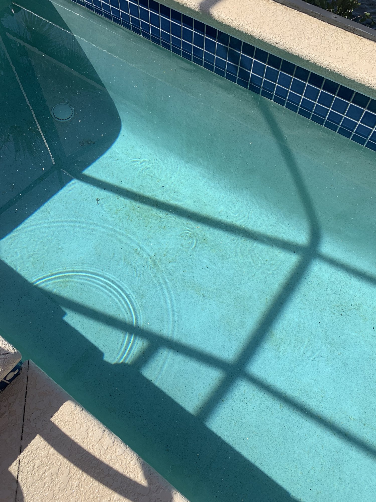 IMG_1916.jpeg