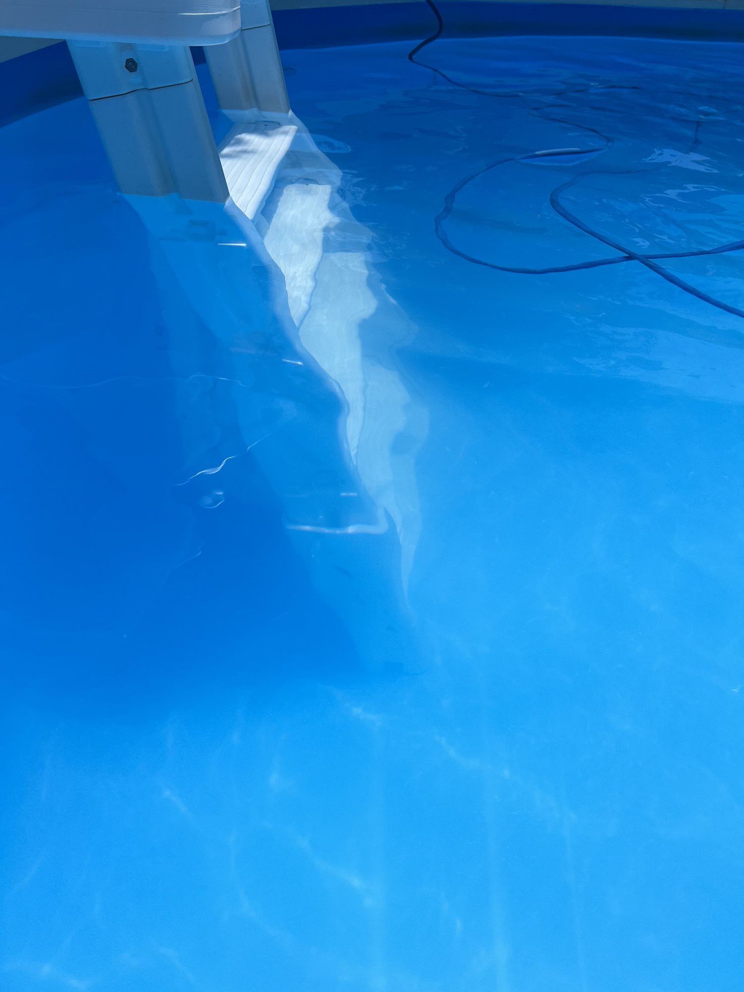 IMG_1952.jpeg