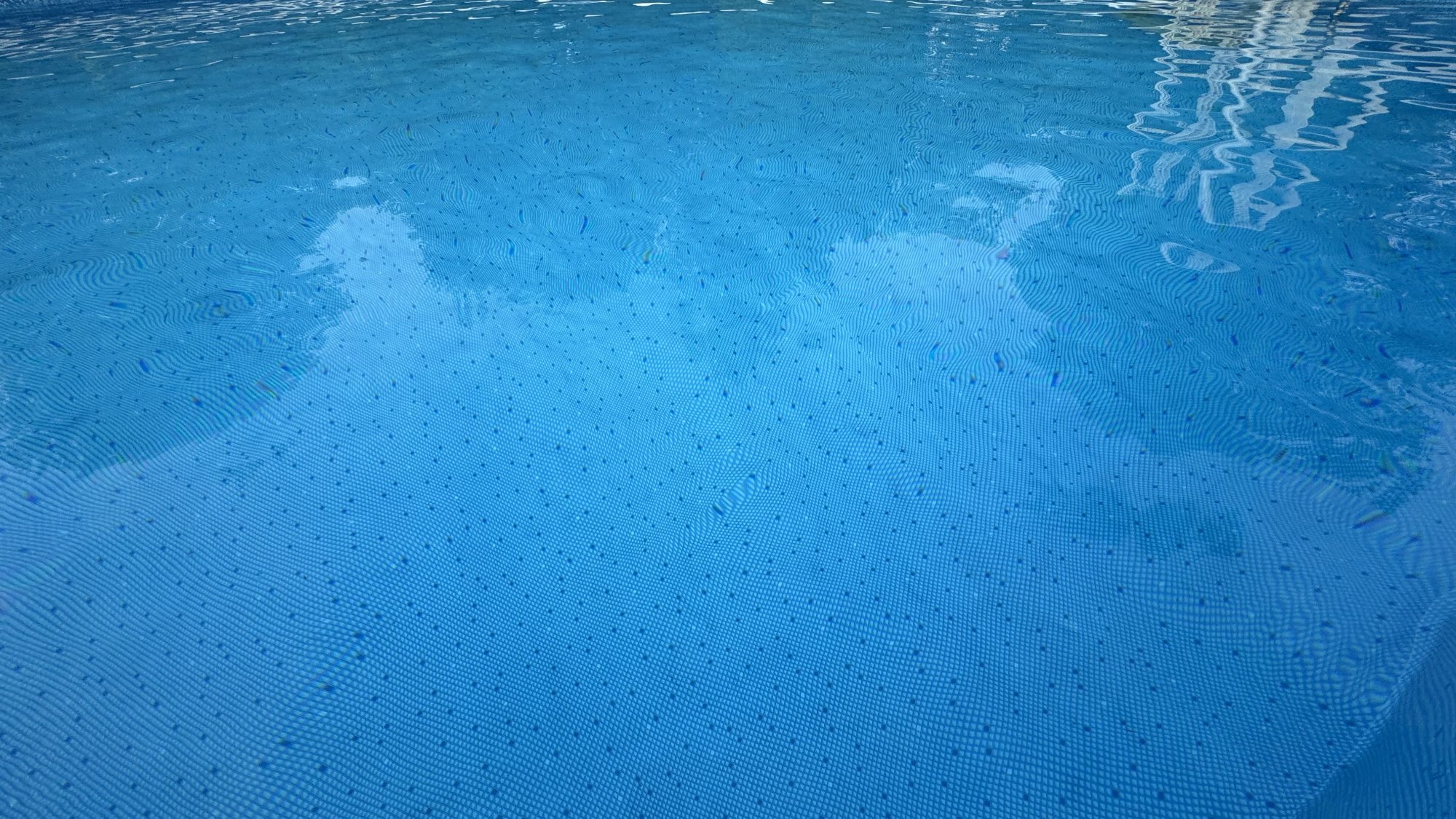 IMG_1964.jpeg