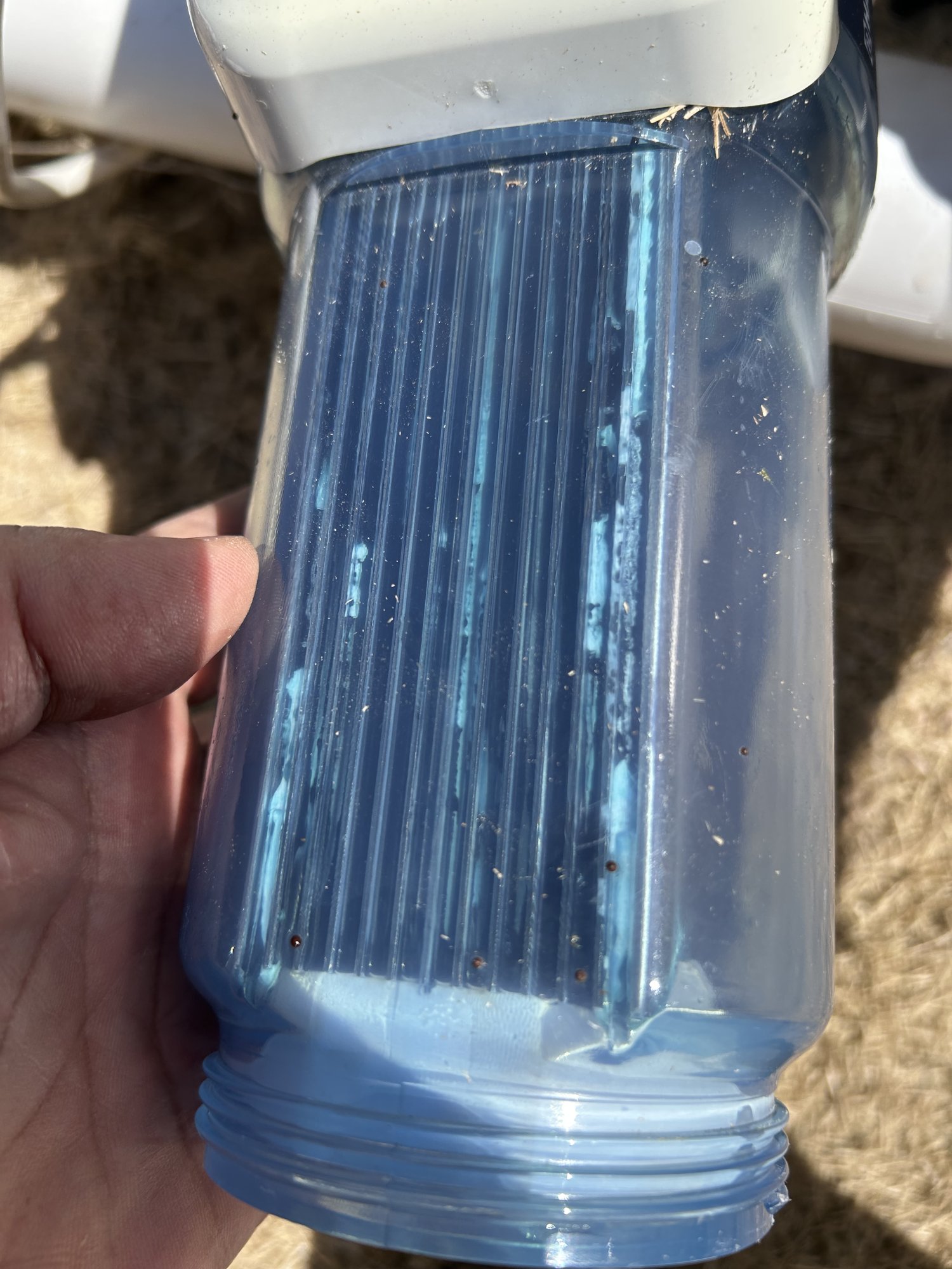 IMG_1997.jpeg