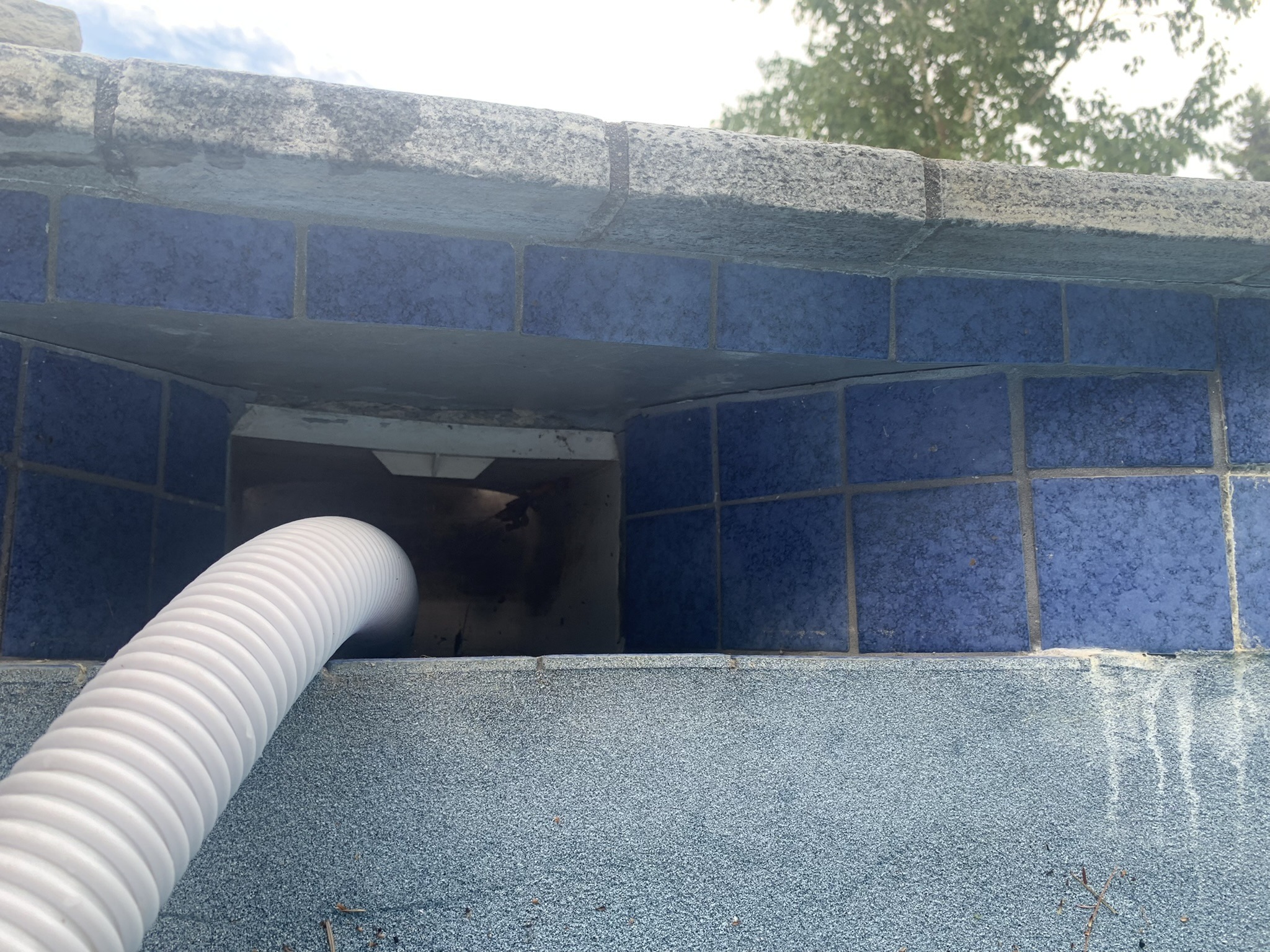 IMG_1999.JPEG