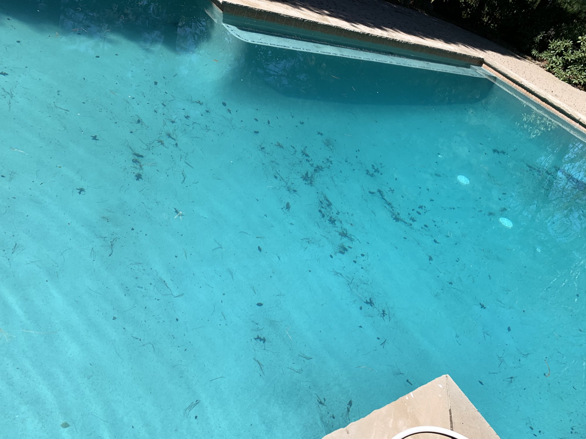 IMG_2020.jpeg