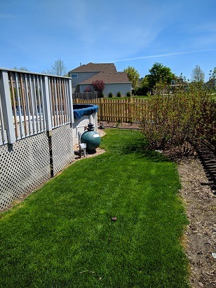 IMG_20200506_121038.jpg