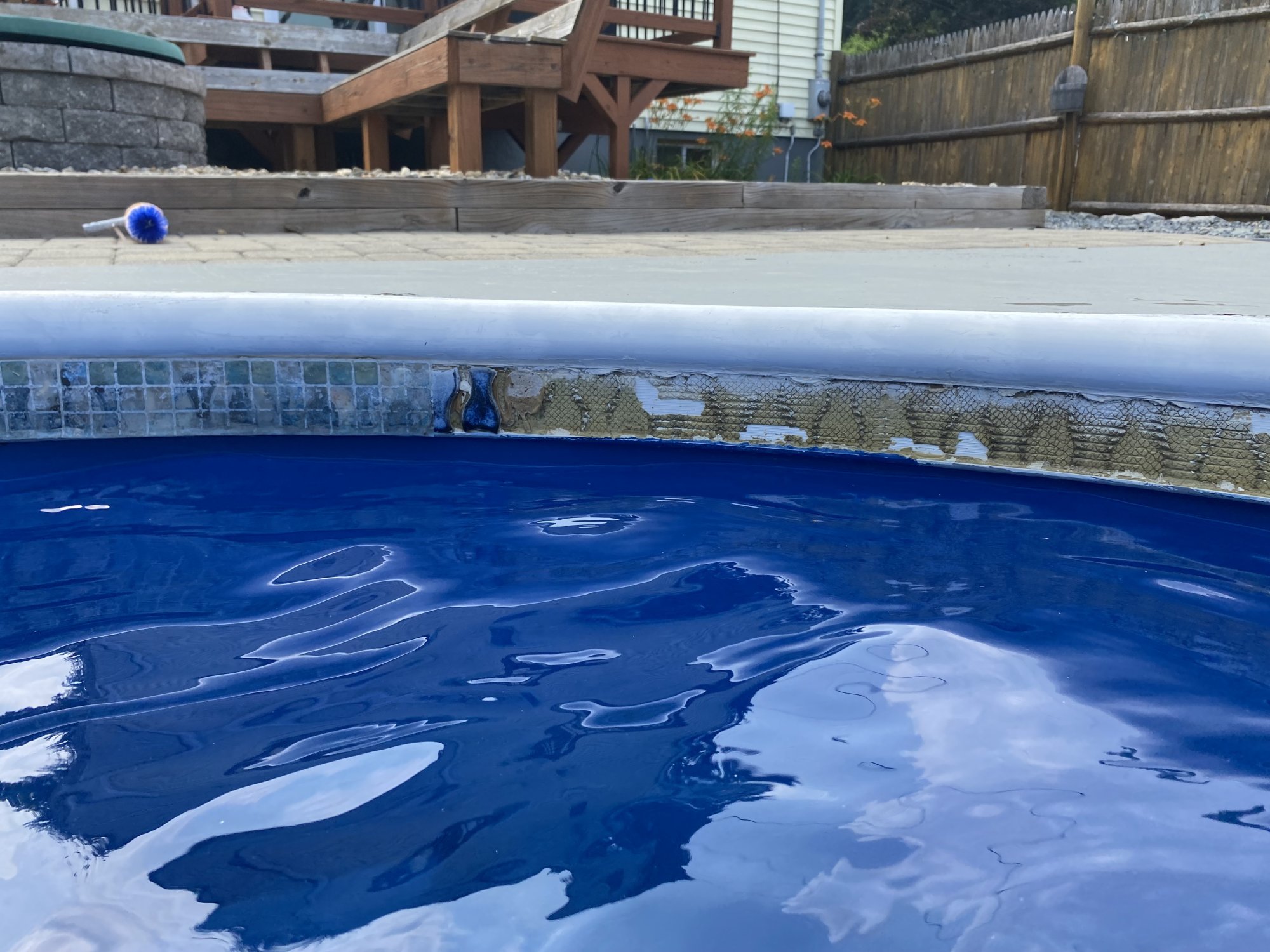 IMG_2022.jpeg