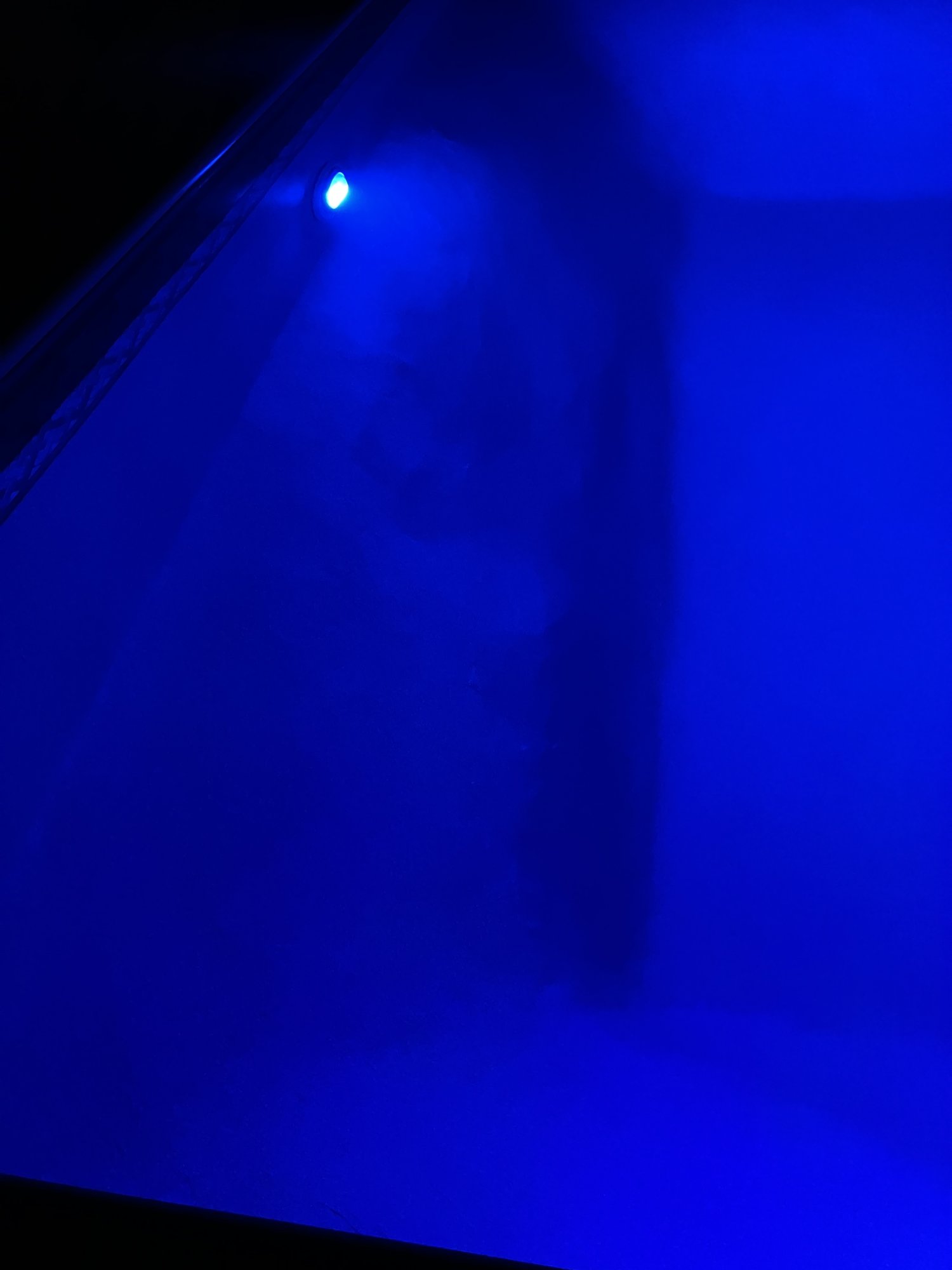 IMG_2056.jpeg