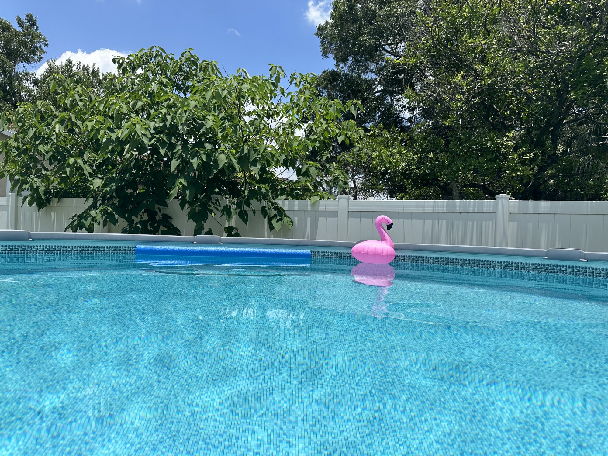 IMG_2086.jpeg