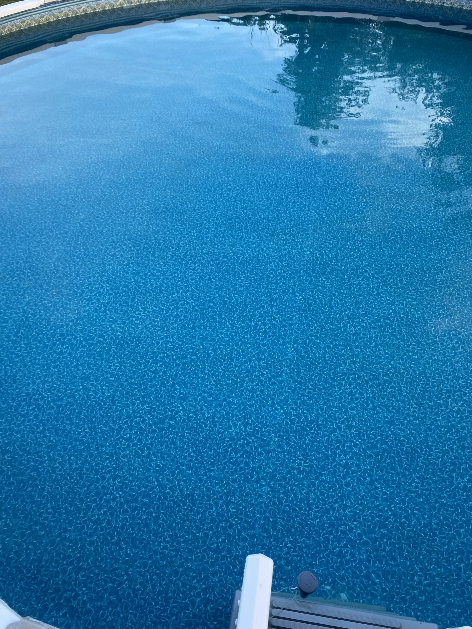 IMG_2166.jpeg