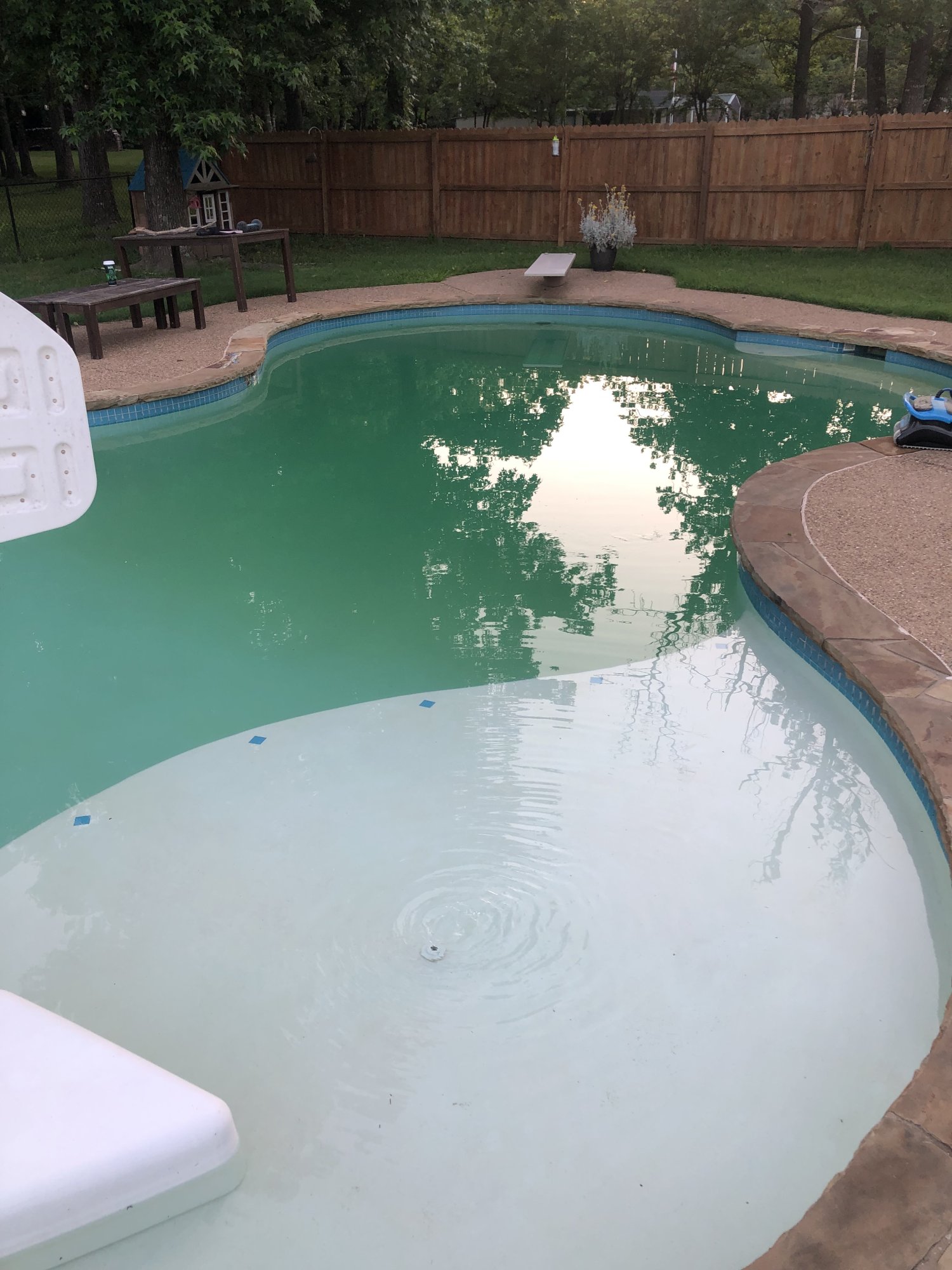 IMG_2240.jpeg