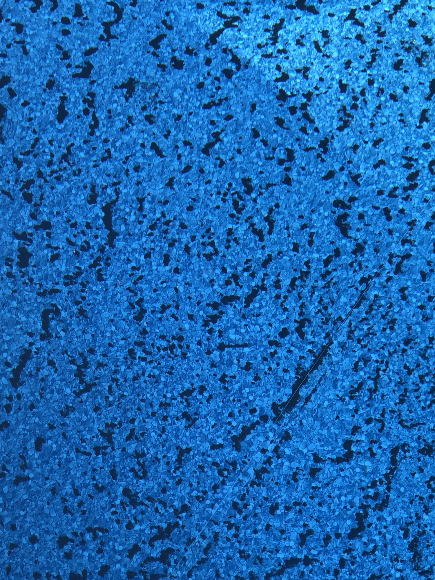IMG_2260.jpeg