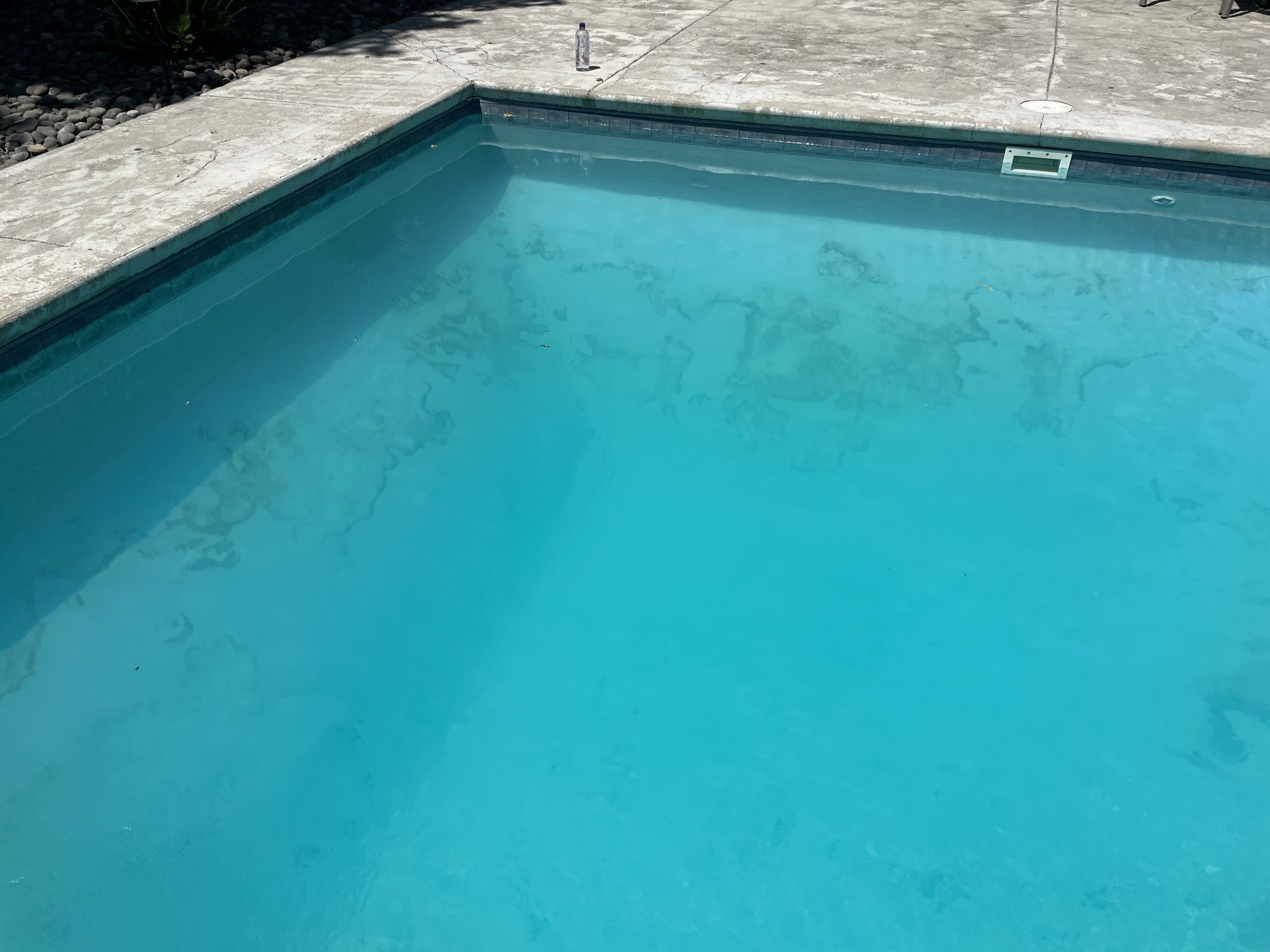 IMG_2348.jpeg