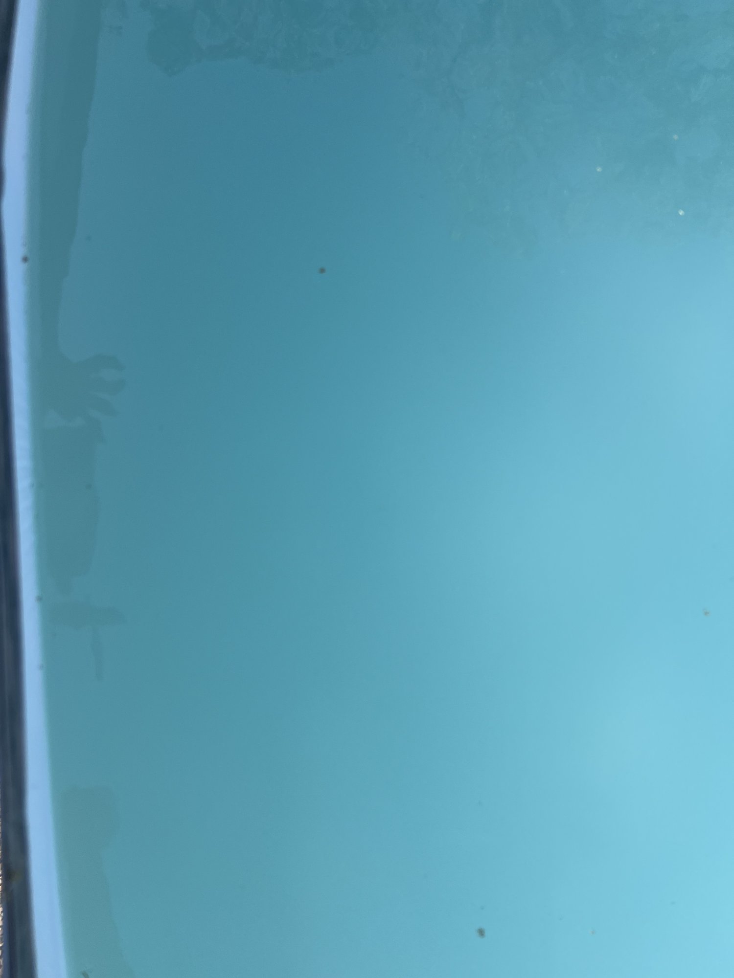 IMG_2466.jpeg