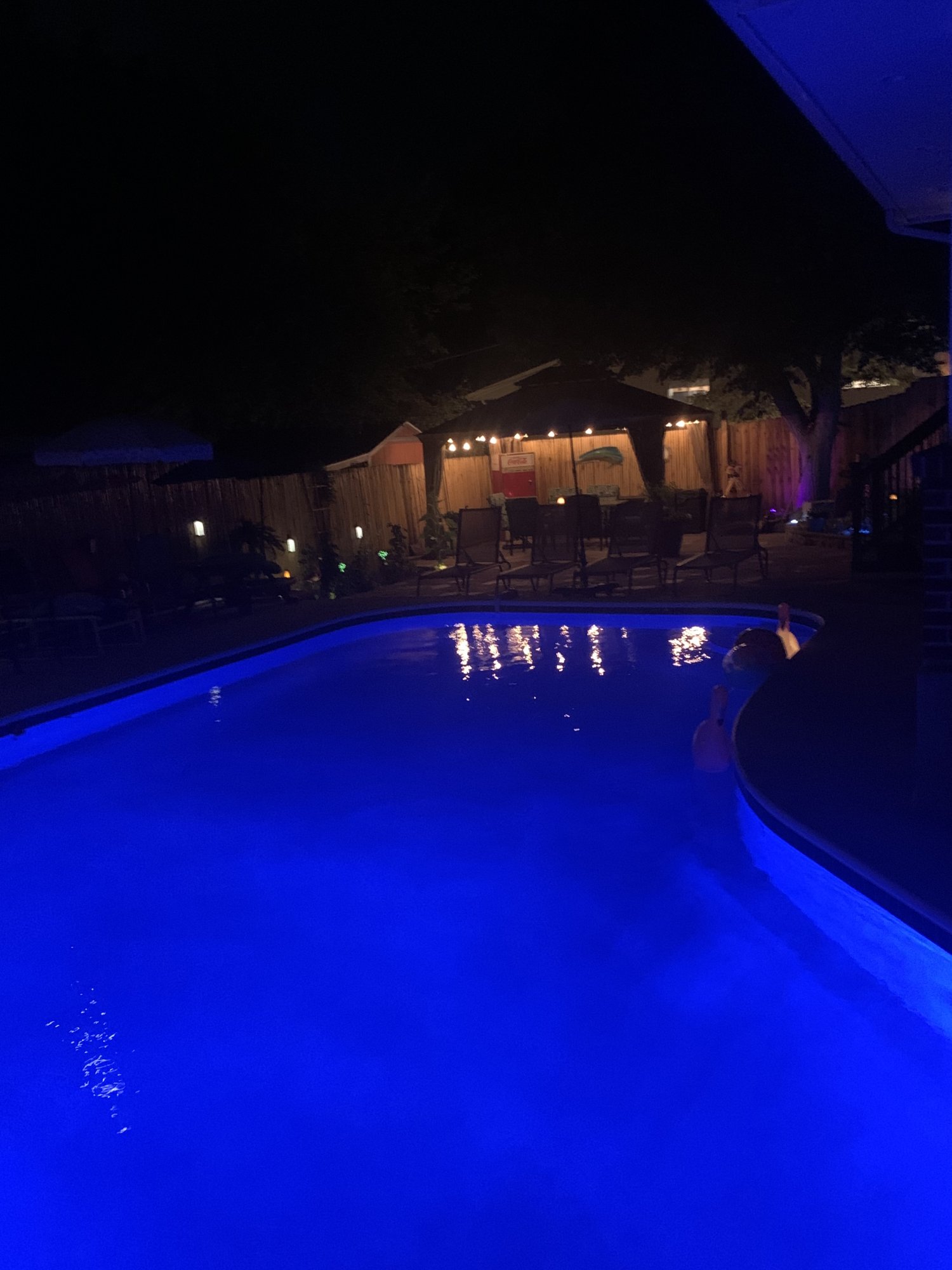 IMG_2511.jpeg