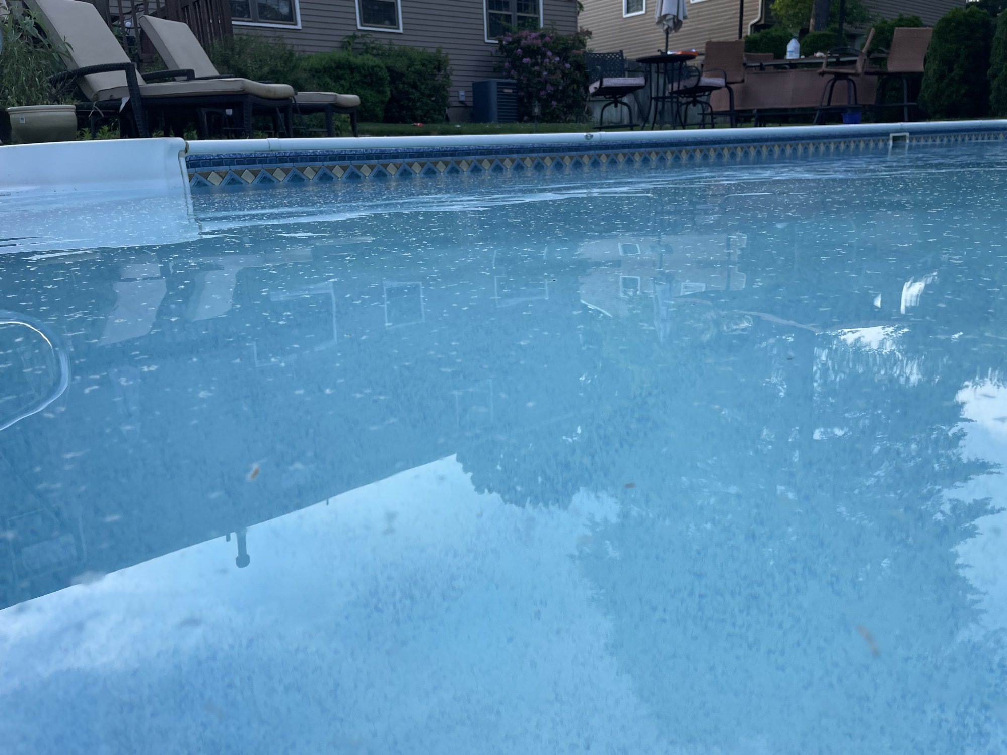 IMG_2609.jpeg
