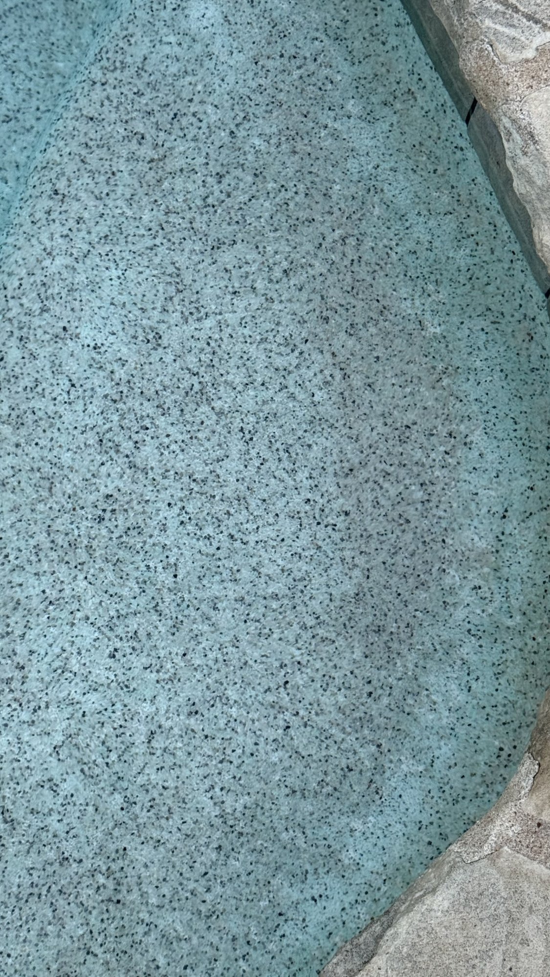IMG_2644.jpeg