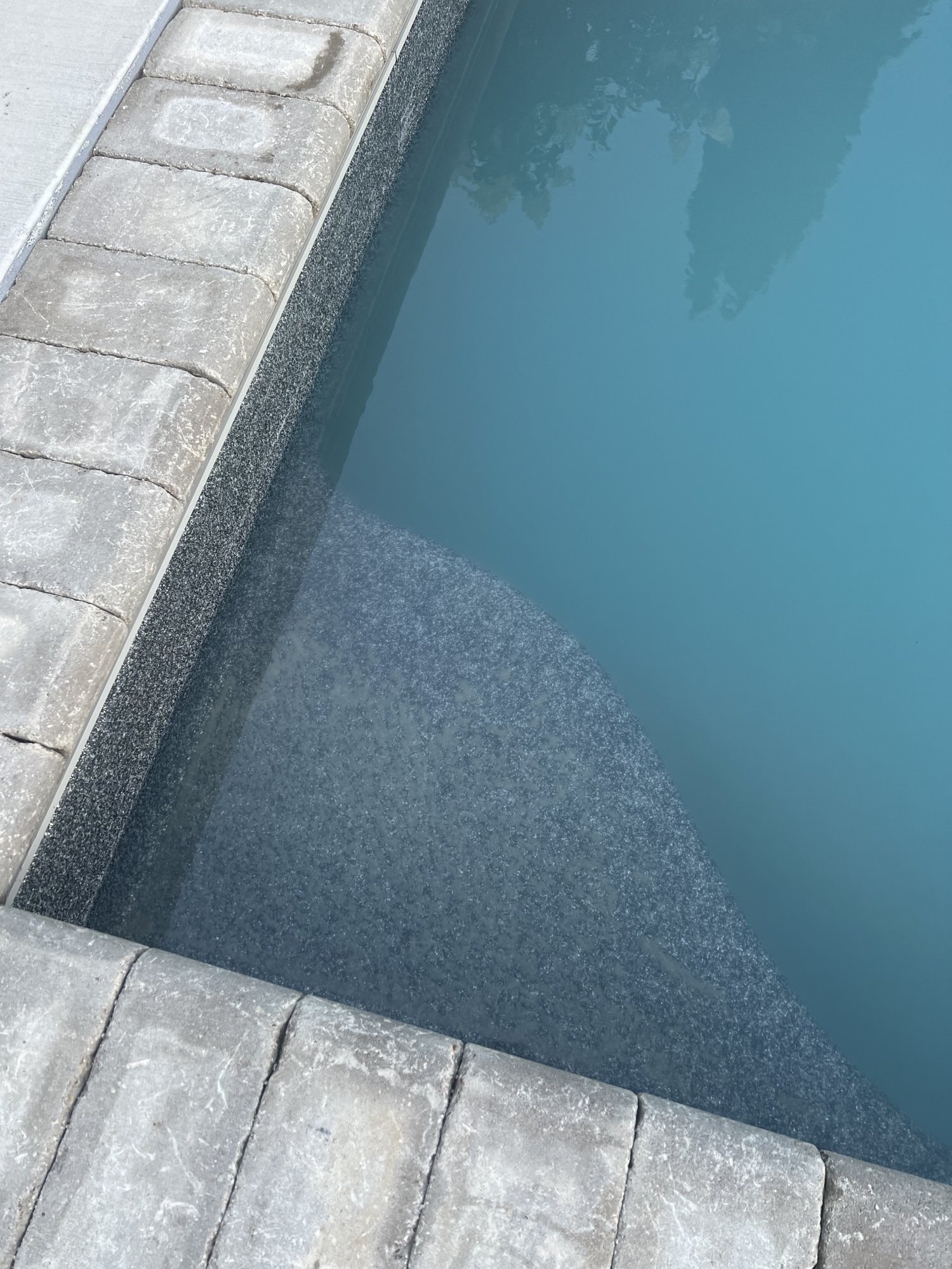 IMG_2848.jpeg