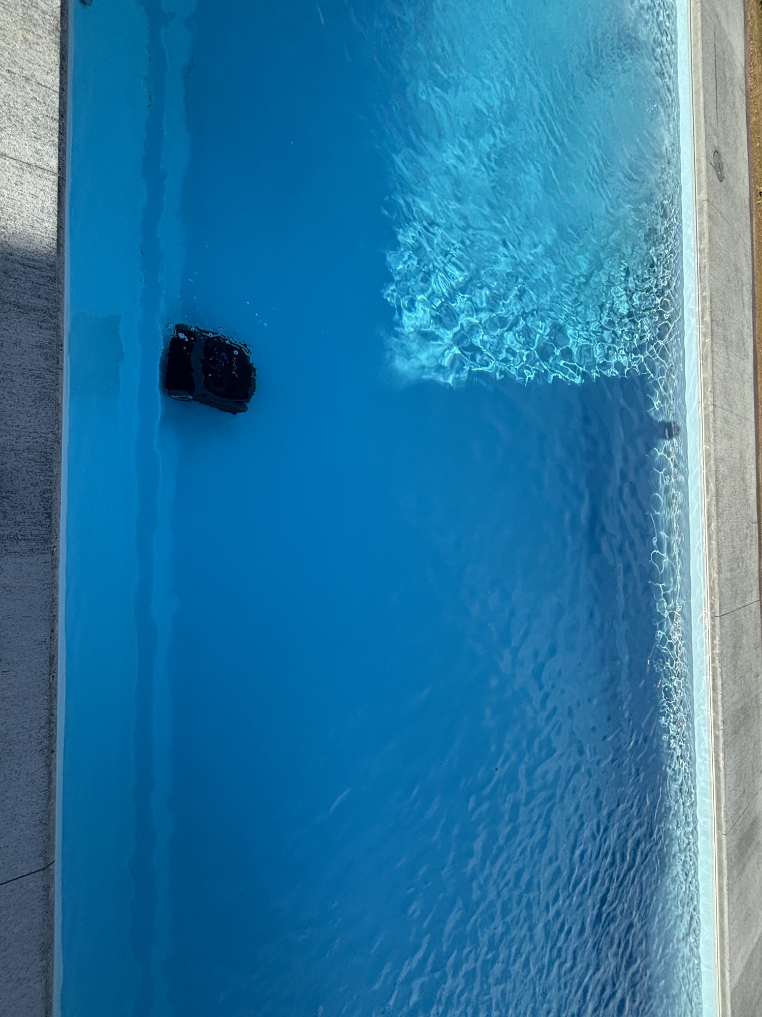 IMG_2928.jpeg