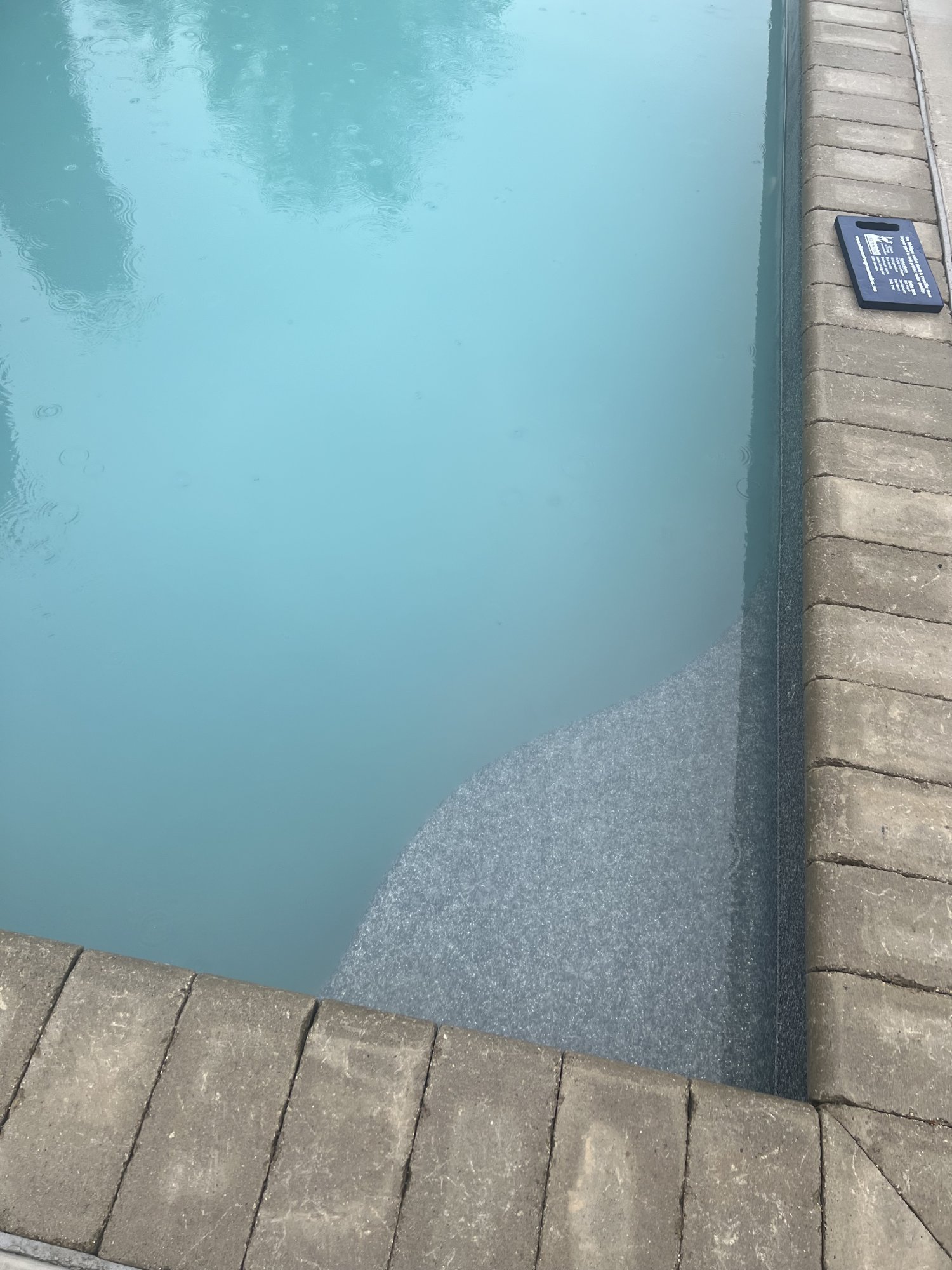 IMG_2956.jpeg