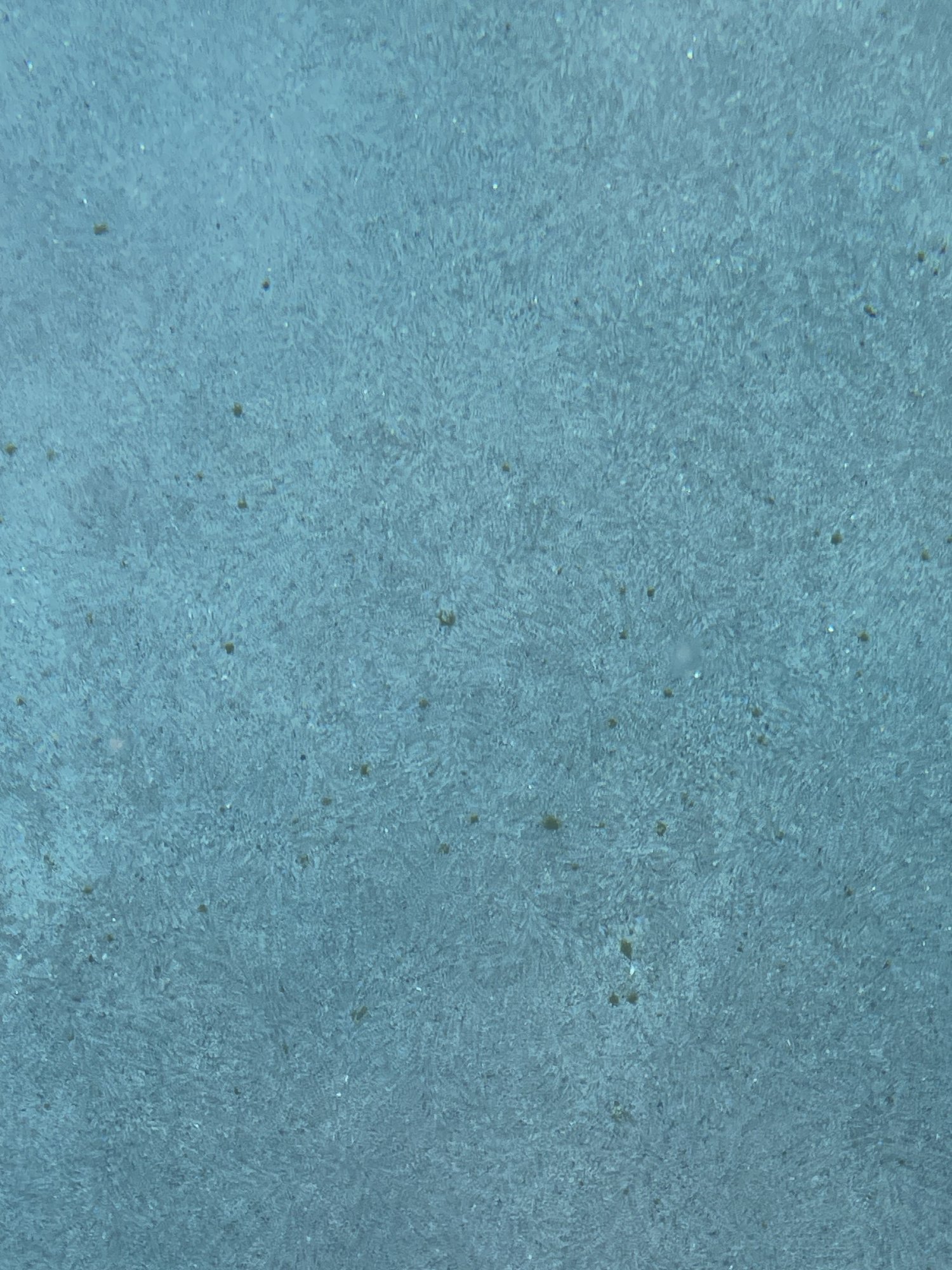 IMG_3109.jpeg