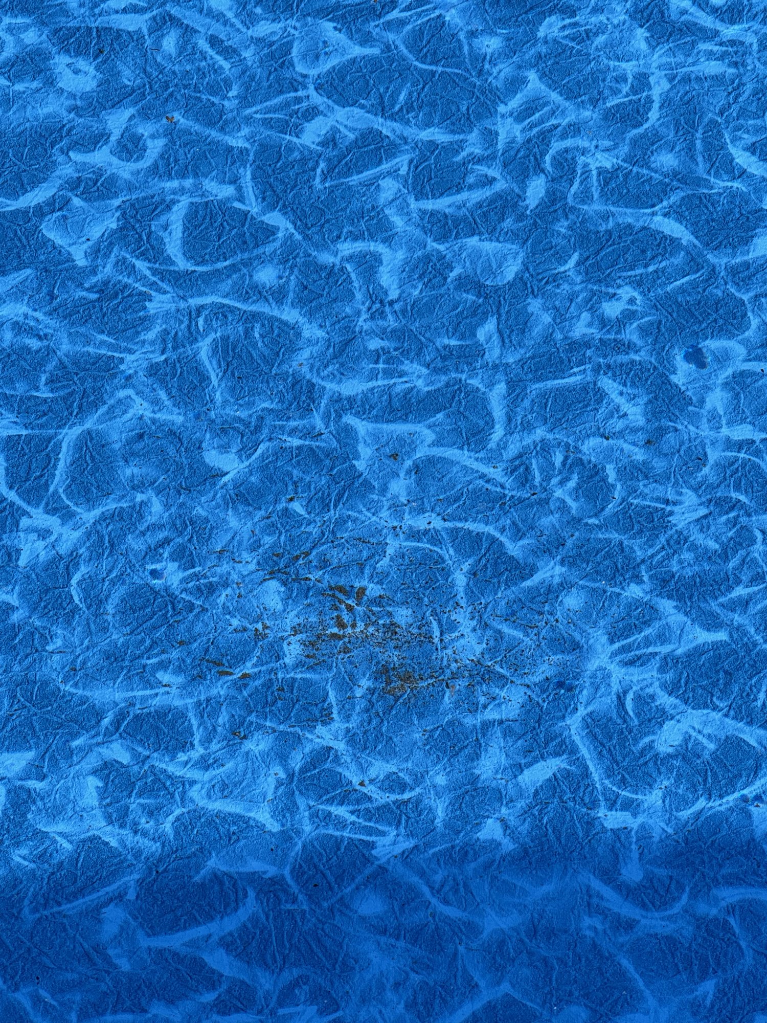 IMG_3118.jpeg