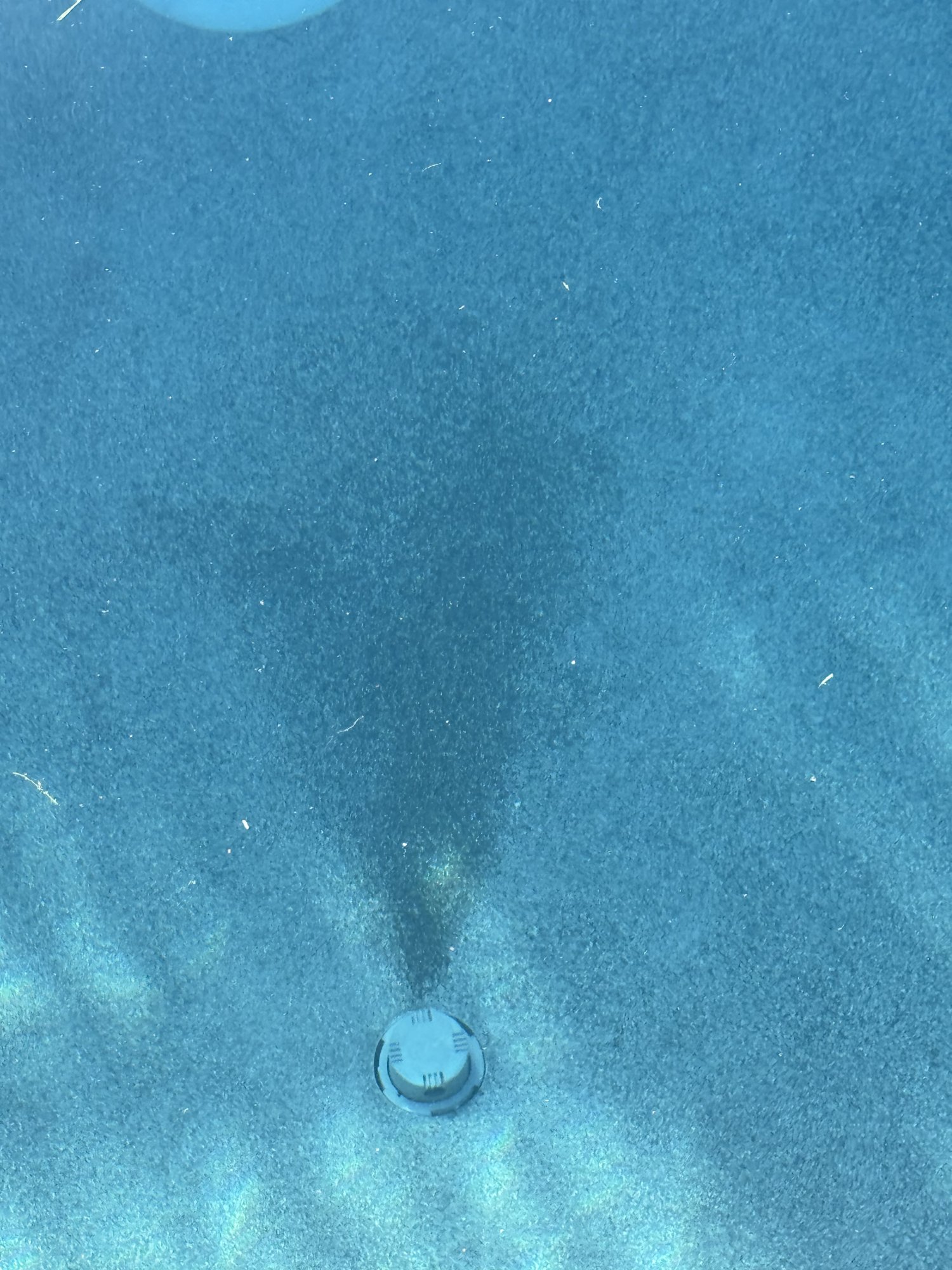 IMG_3162.jpeg