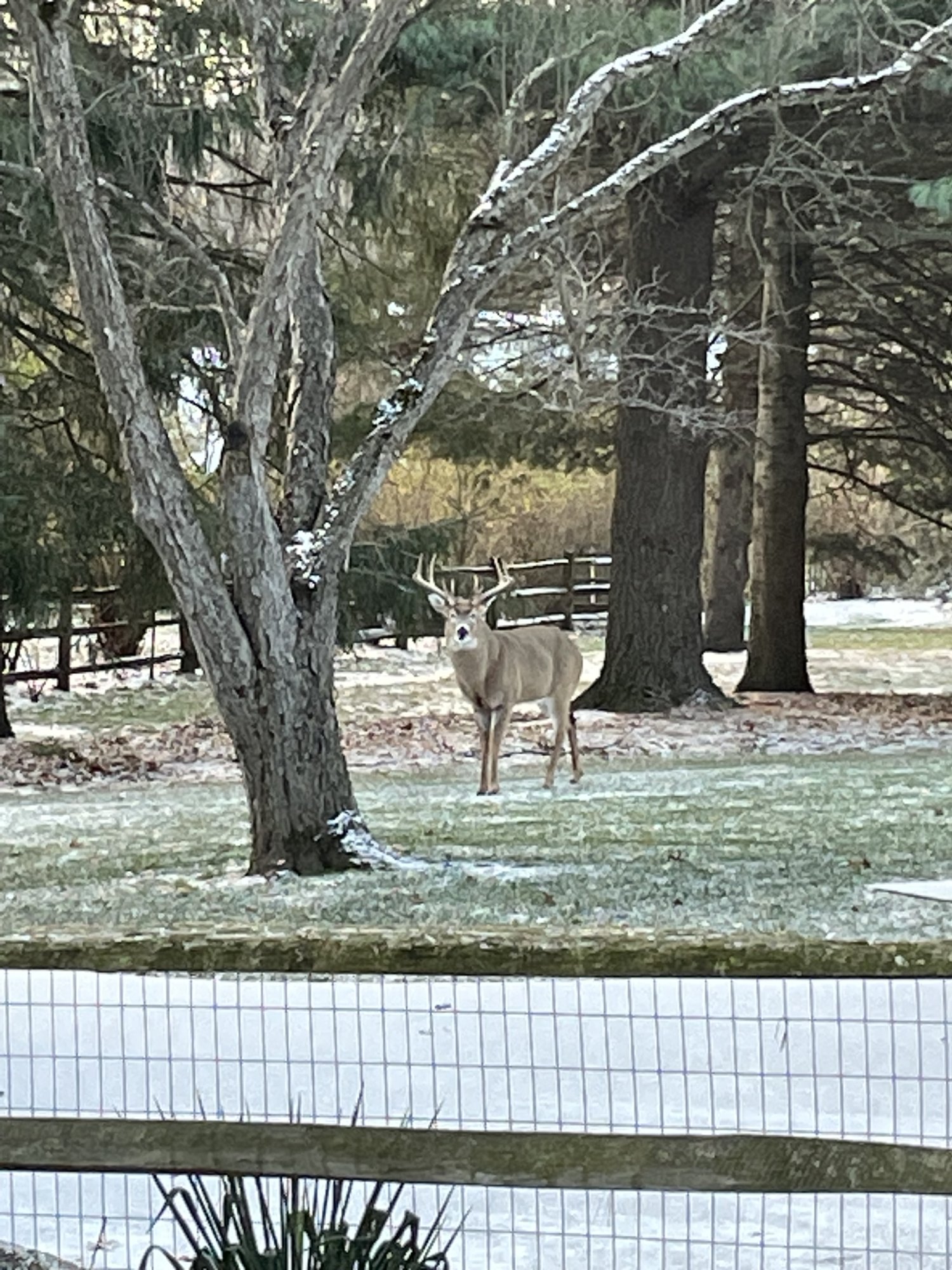 IMG_3173.jpeg