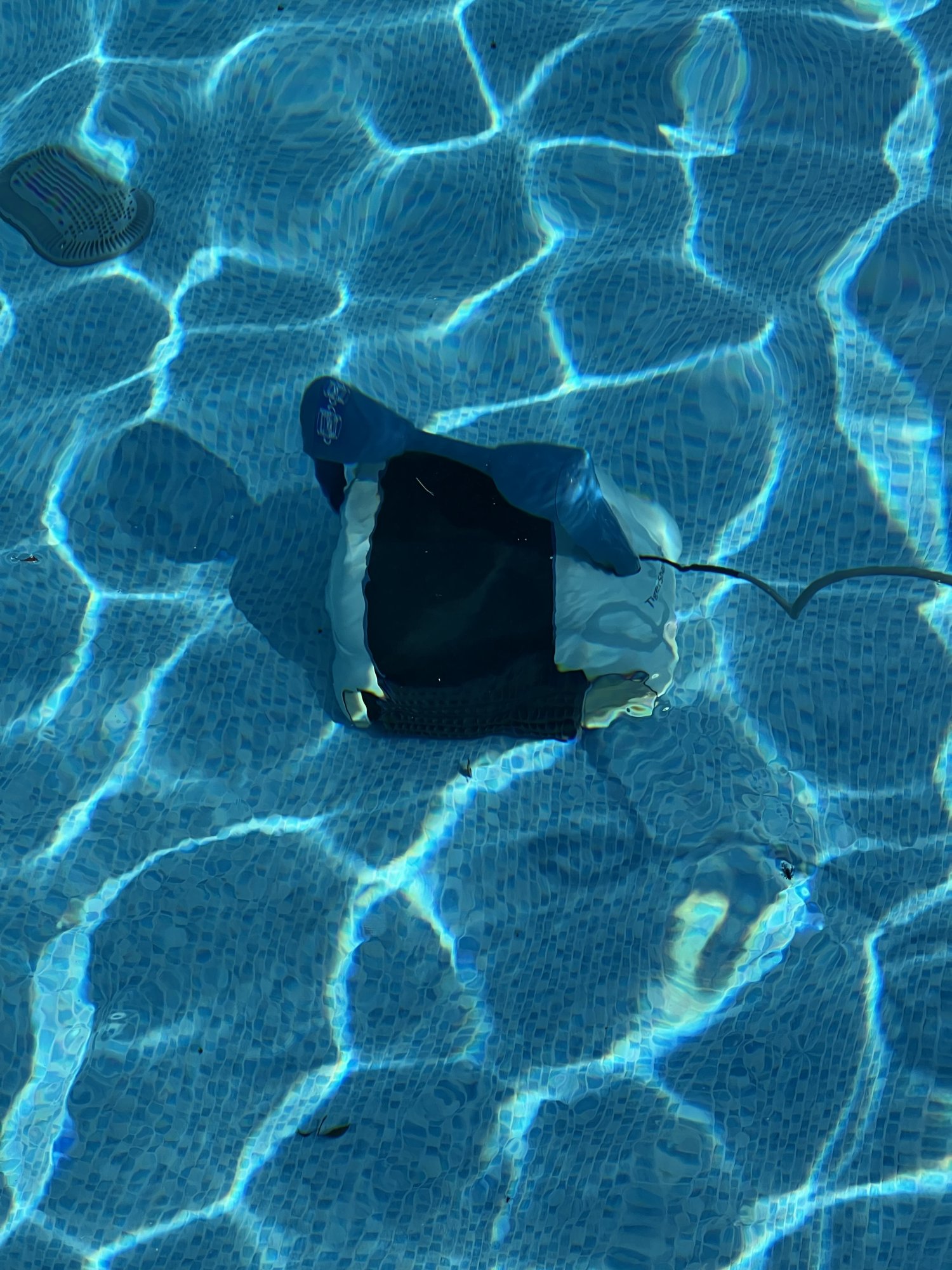 IMG_3208.jpeg