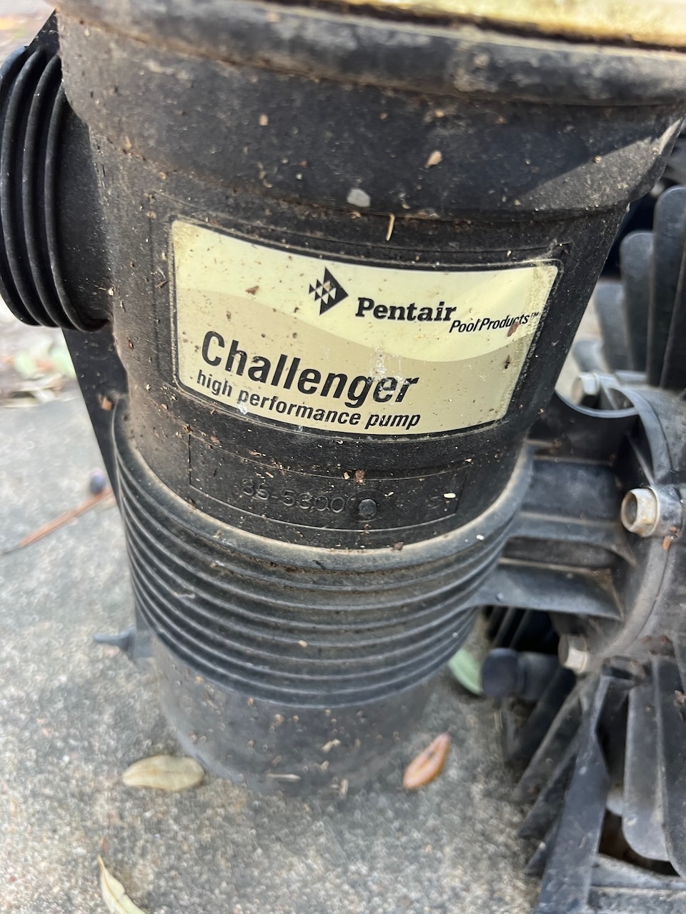 IMG_3209.jpeg