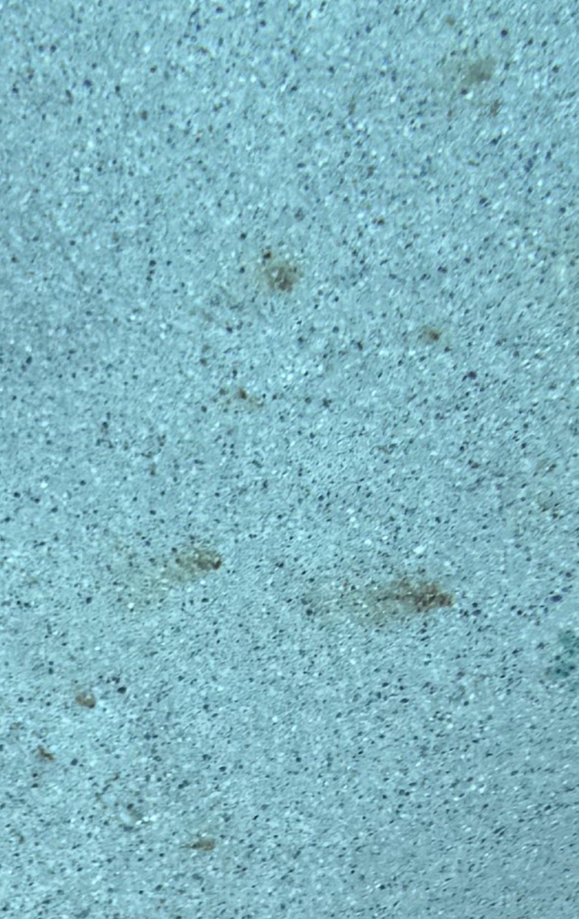 IMG_3209.jpeg