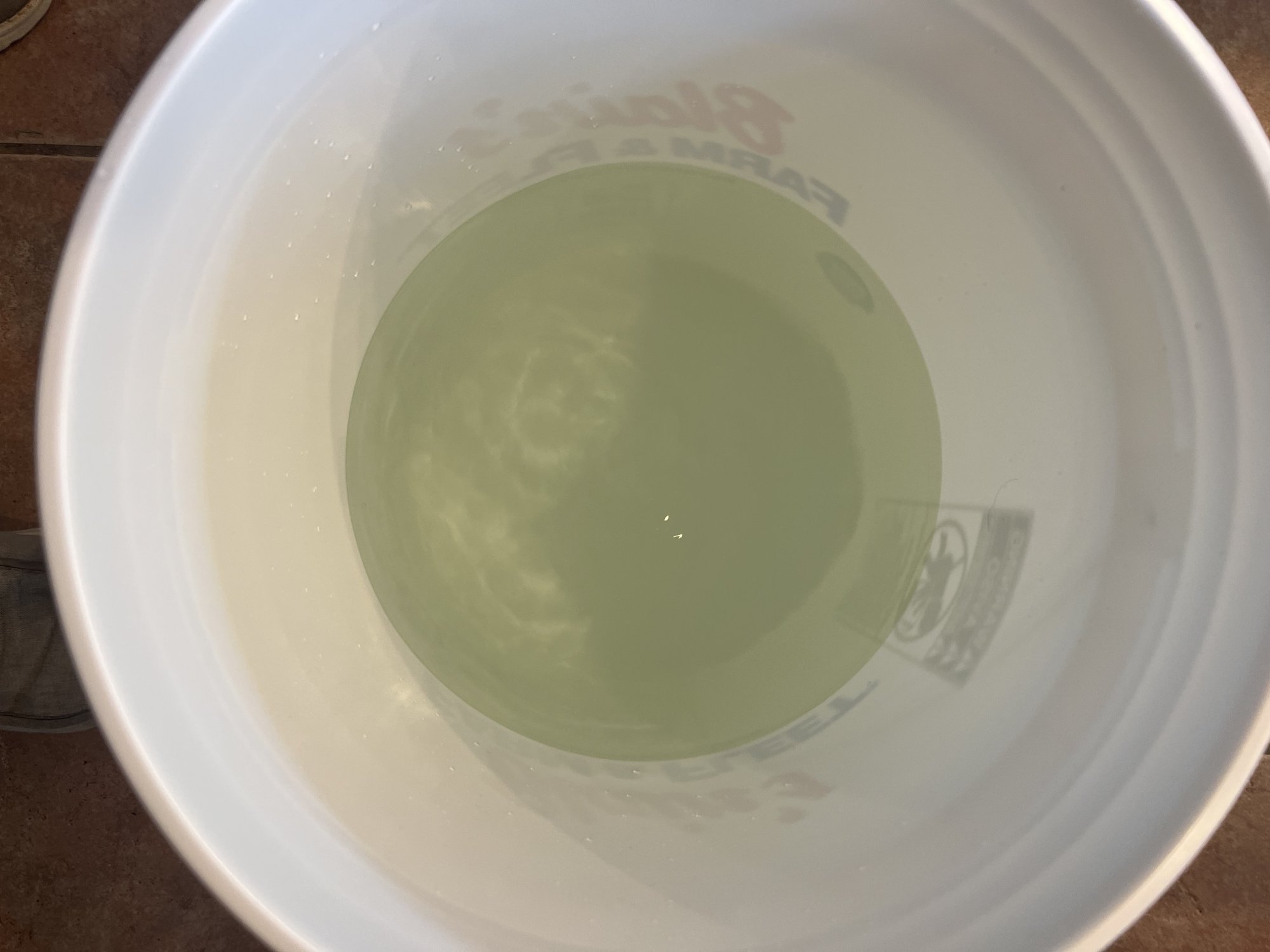 IMG_3341.jpeg