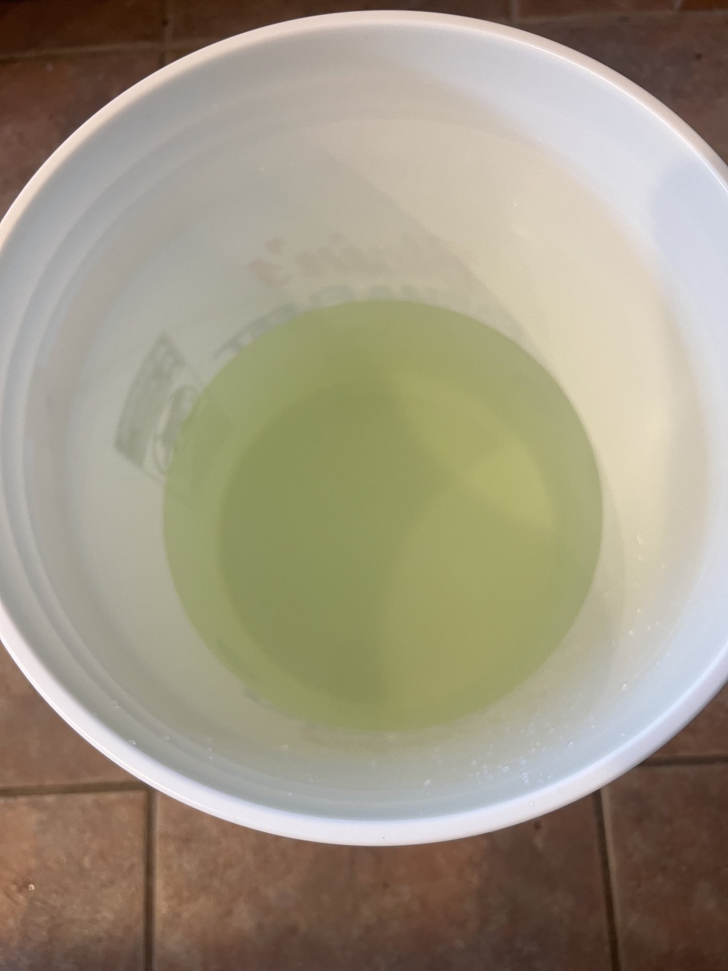 IMG_3343.jpeg