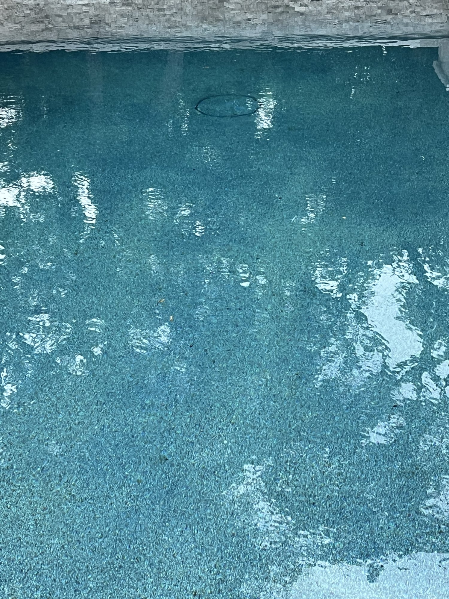 IMG_3374.jpeg
