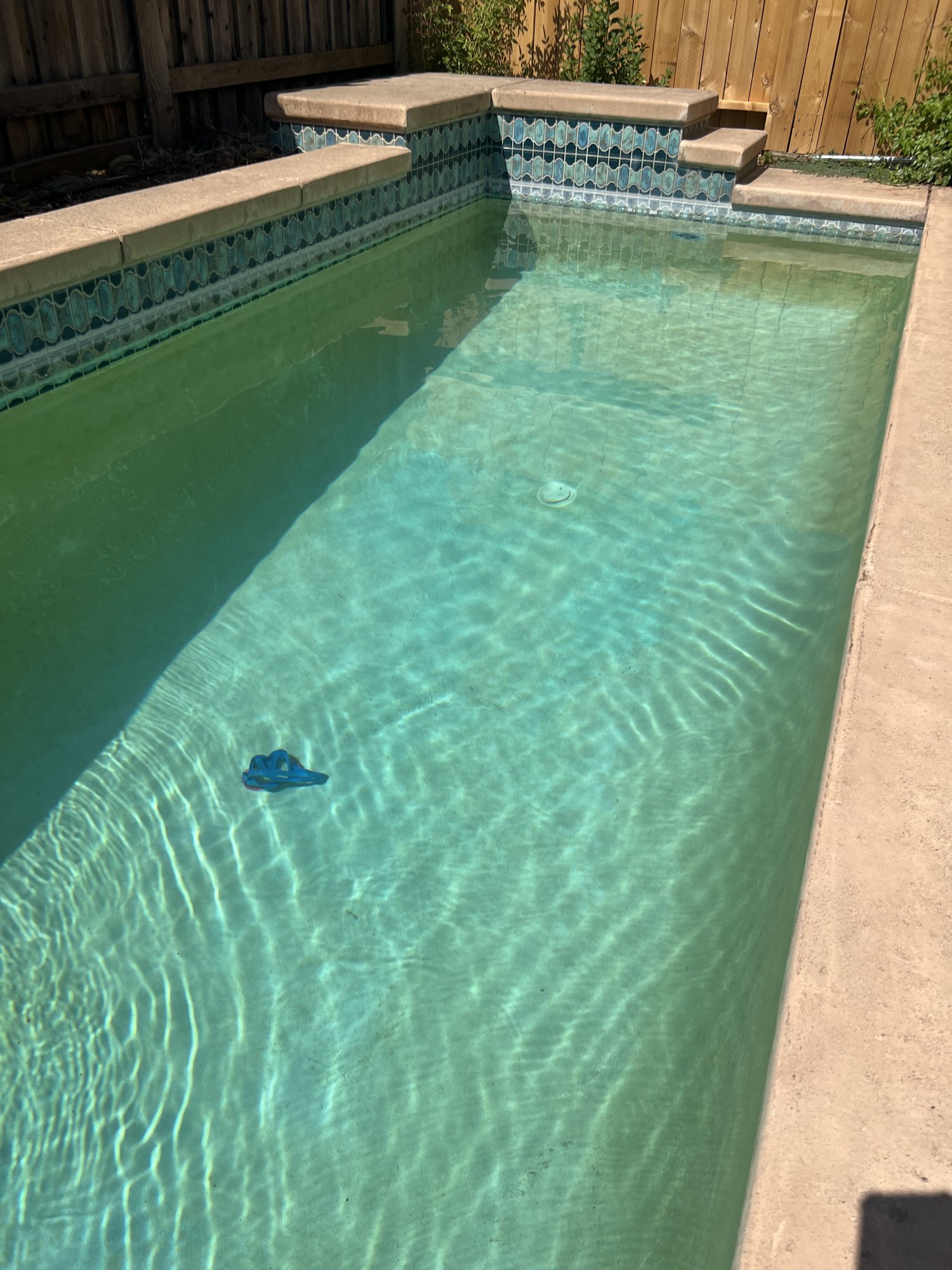 IMG_3600.jpeg