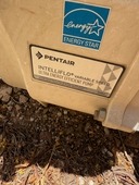 IMG_3621.jpeg