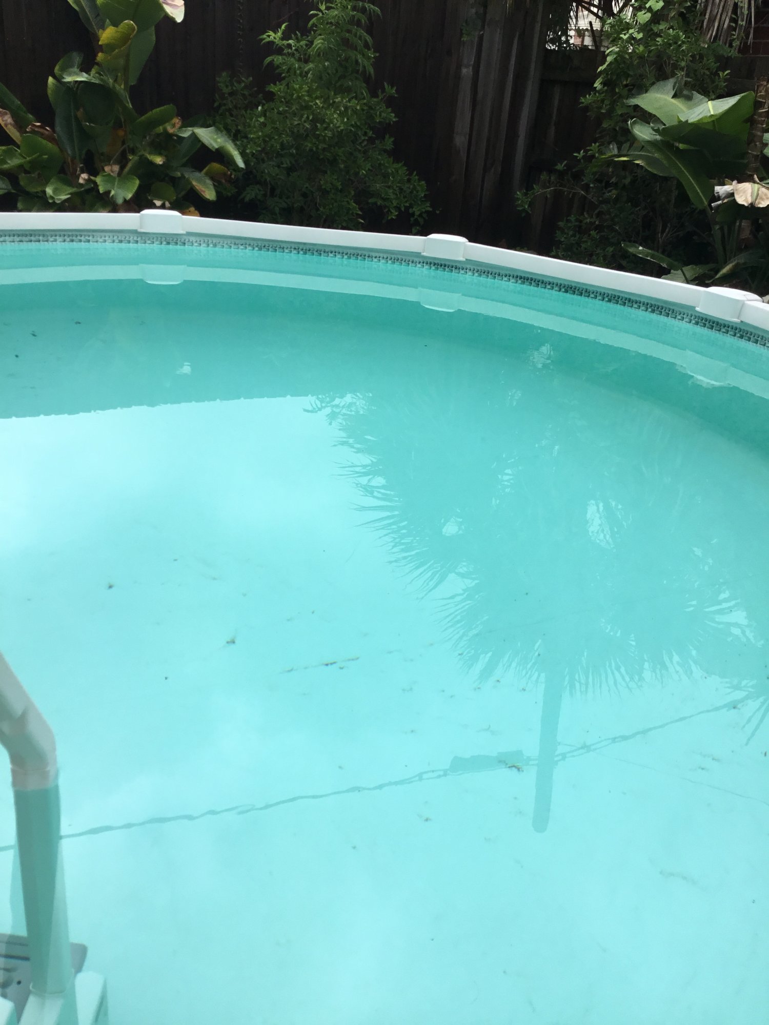 IMG_3692.jpeg
