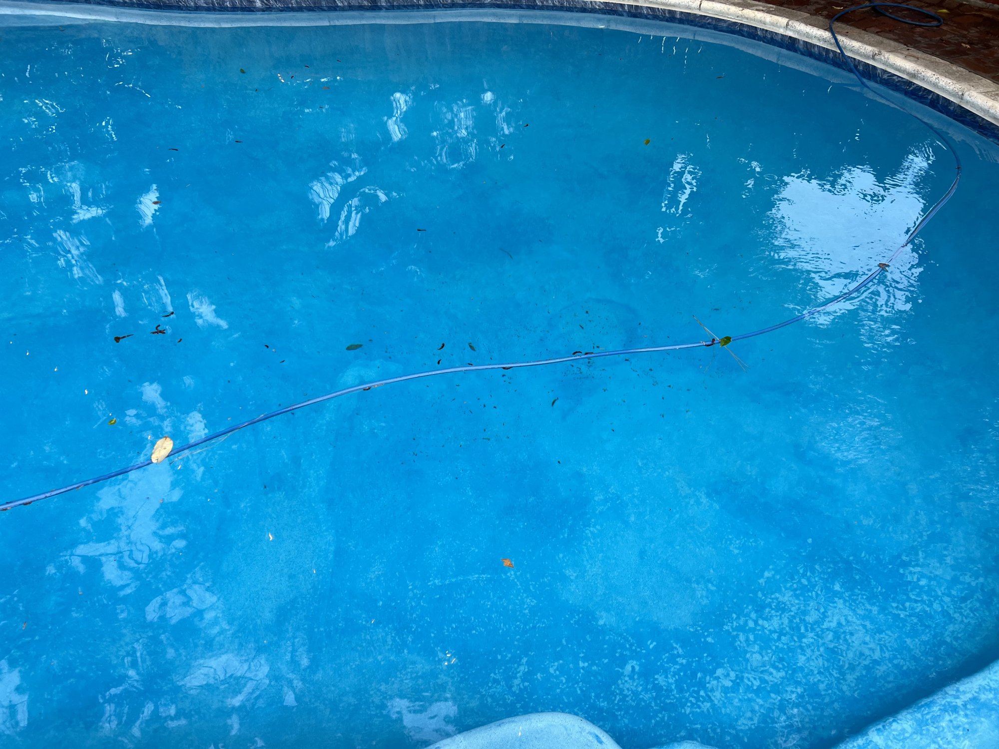 IMG_3706.jpeg