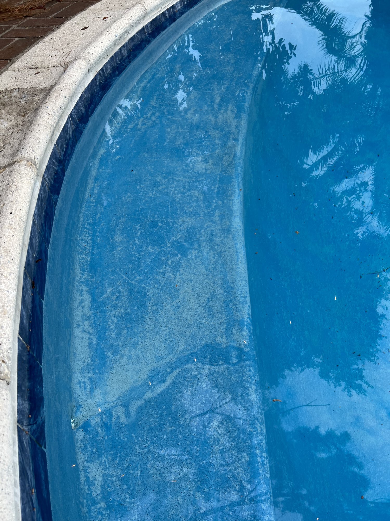 IMG_3708.jpeg